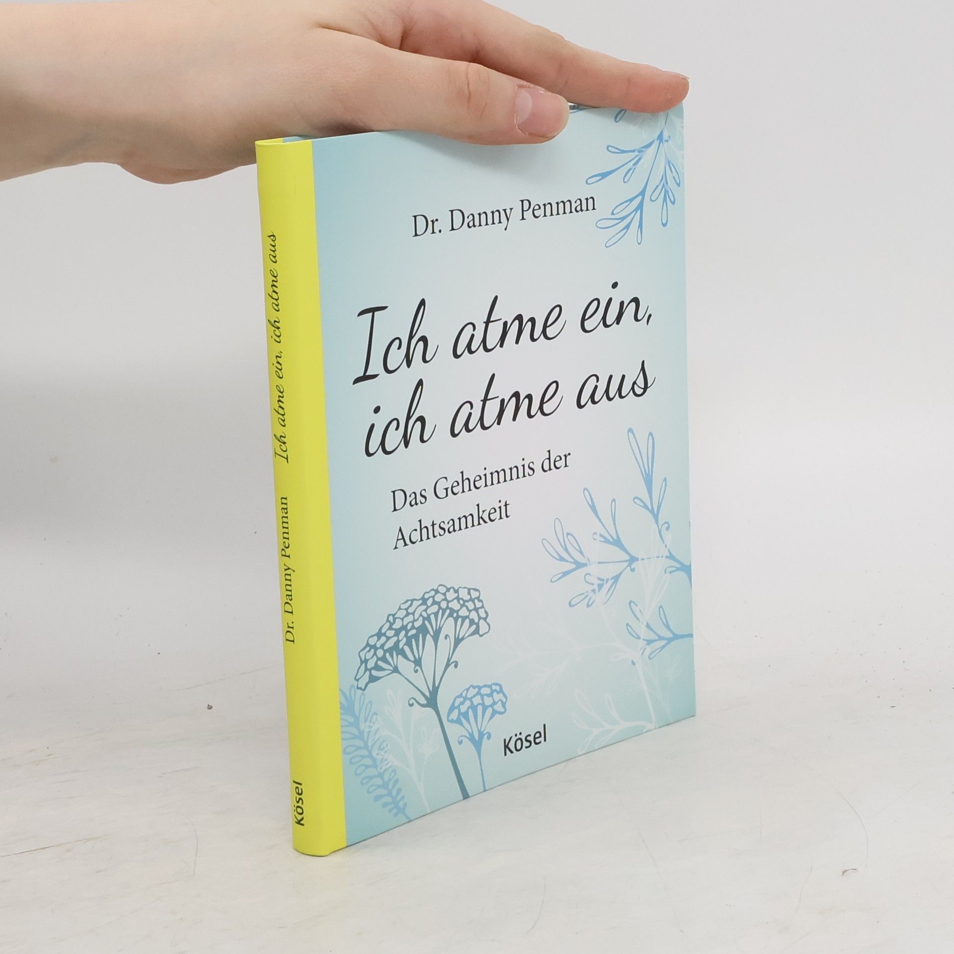 Daniel Penman Ich atme ein, ich atme aus