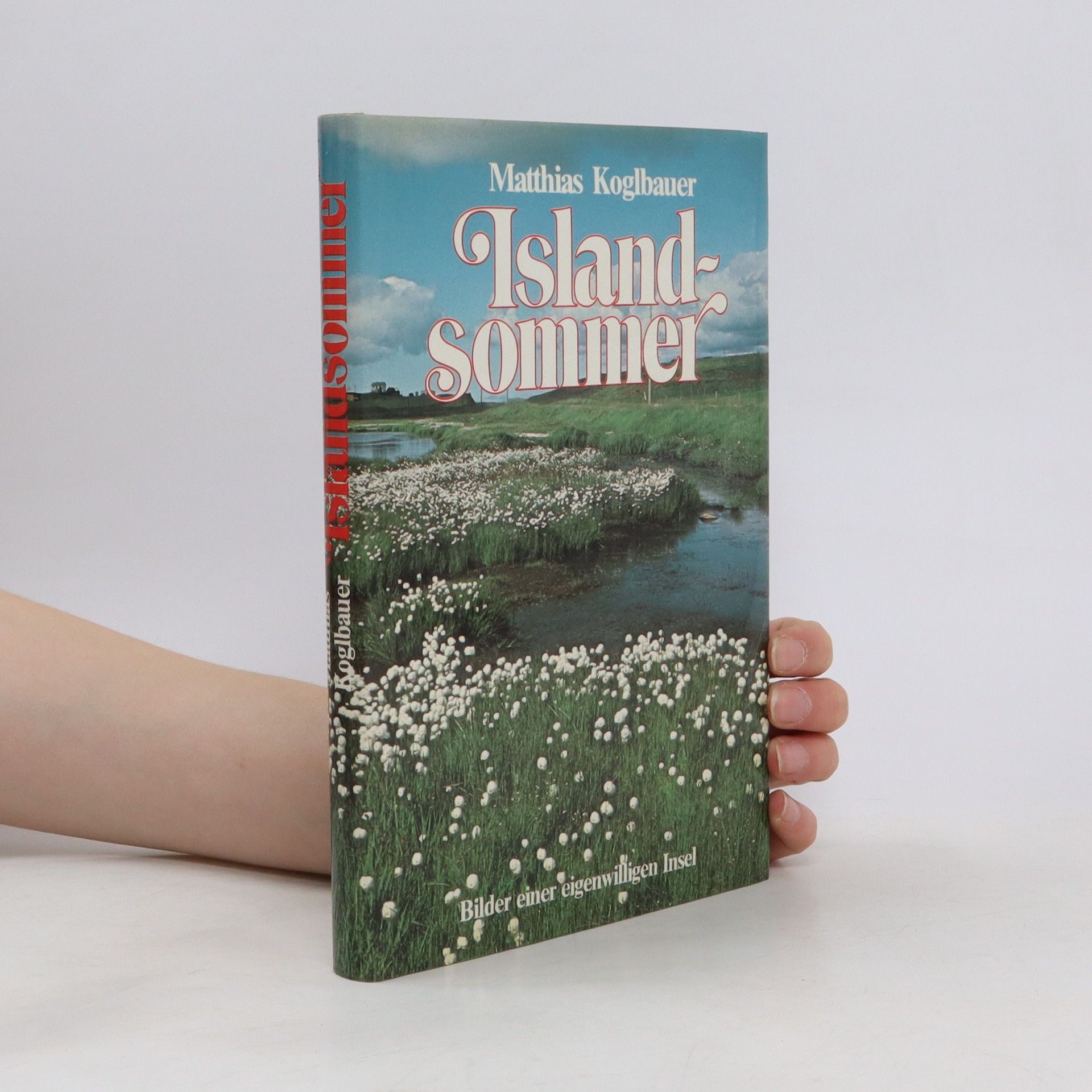 Matthias Koglbauer Islandsommer