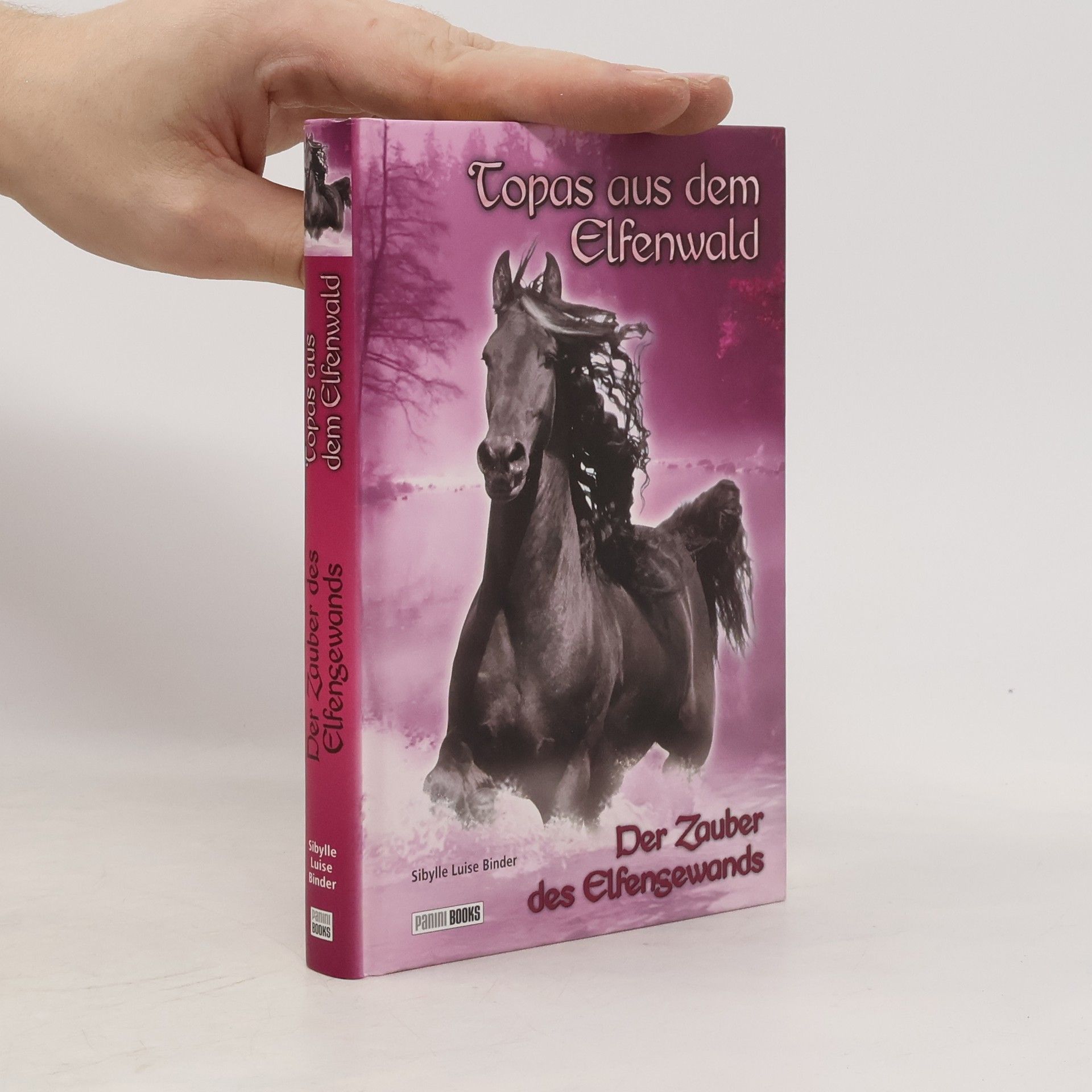 Sibylle Luise Binder Der Zauber des Elfengewands. Der Zauber des Elfengewands