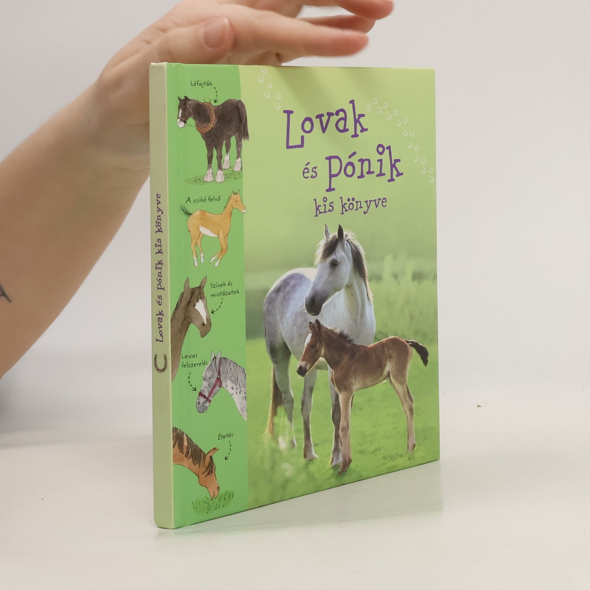AA.VV. Lovak és pónik kis könyve
