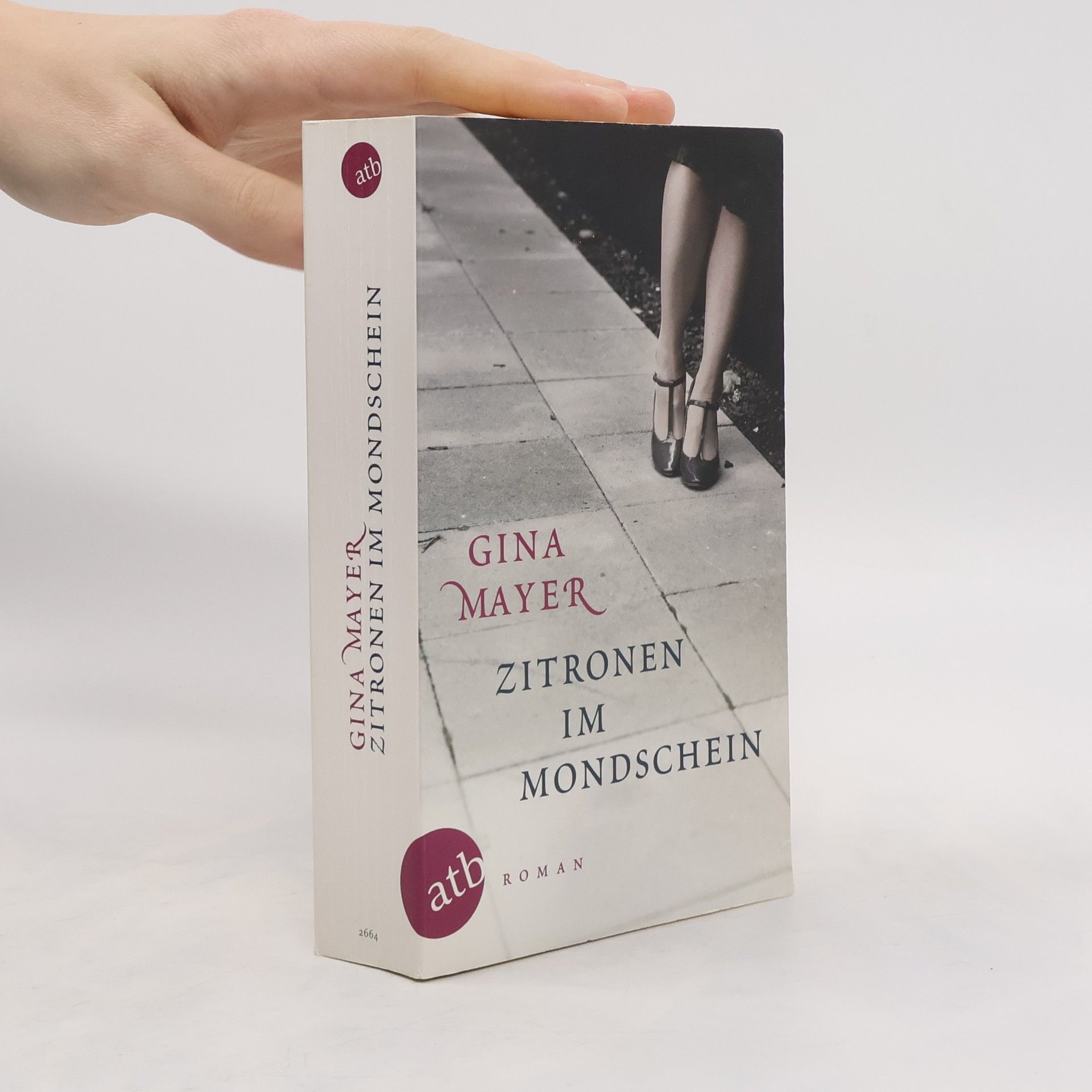 Gina Mayer Zitronen im Mondschein