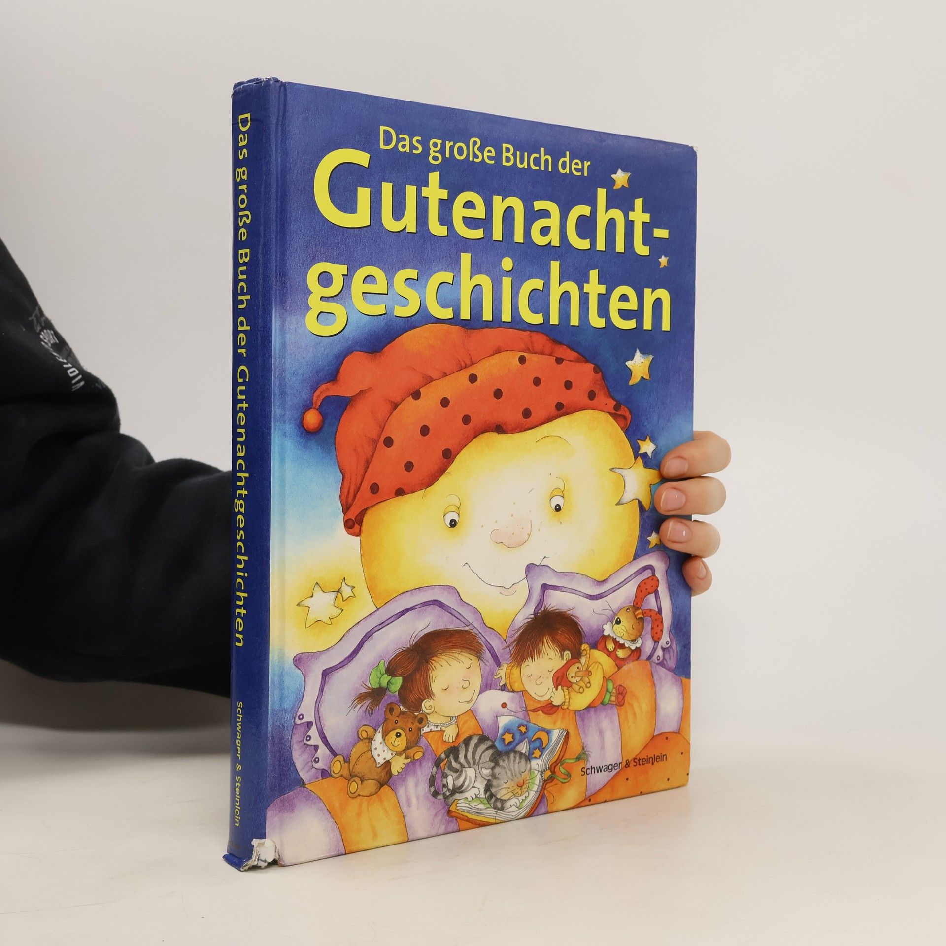 Ute Haderlein Das große Buch der Gutenachtgeschichten