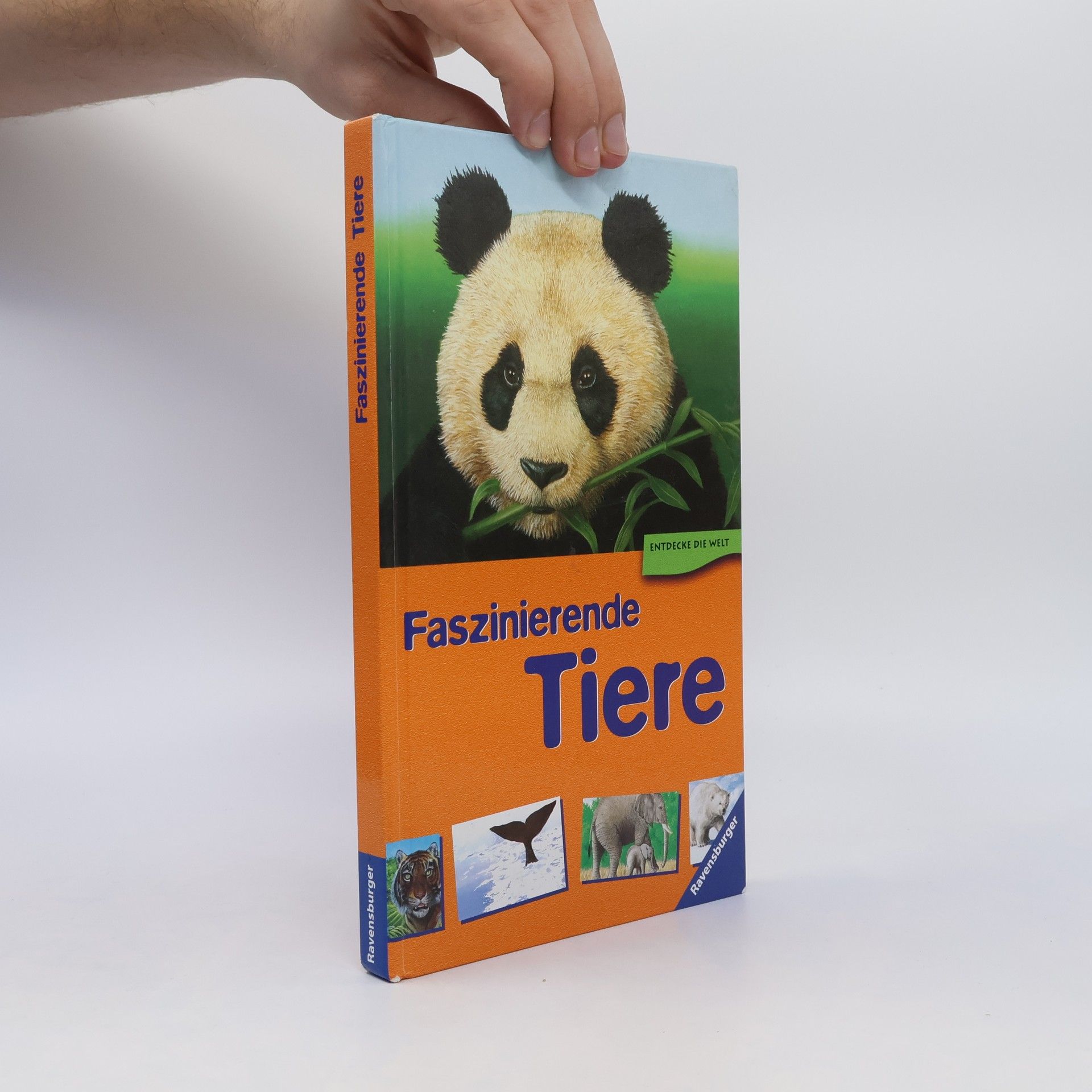 Sabine Zürn Faszinierende Tiere