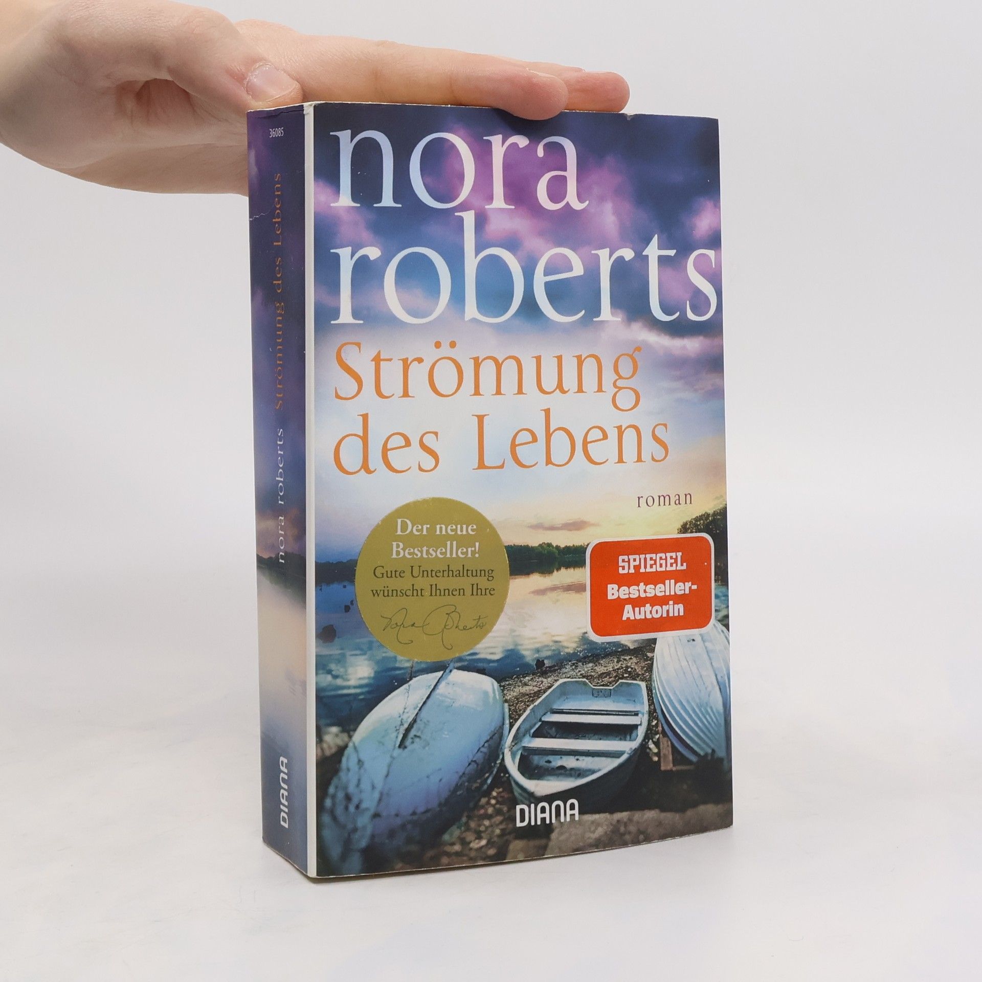 Nora Roberts Strömung des Lebens