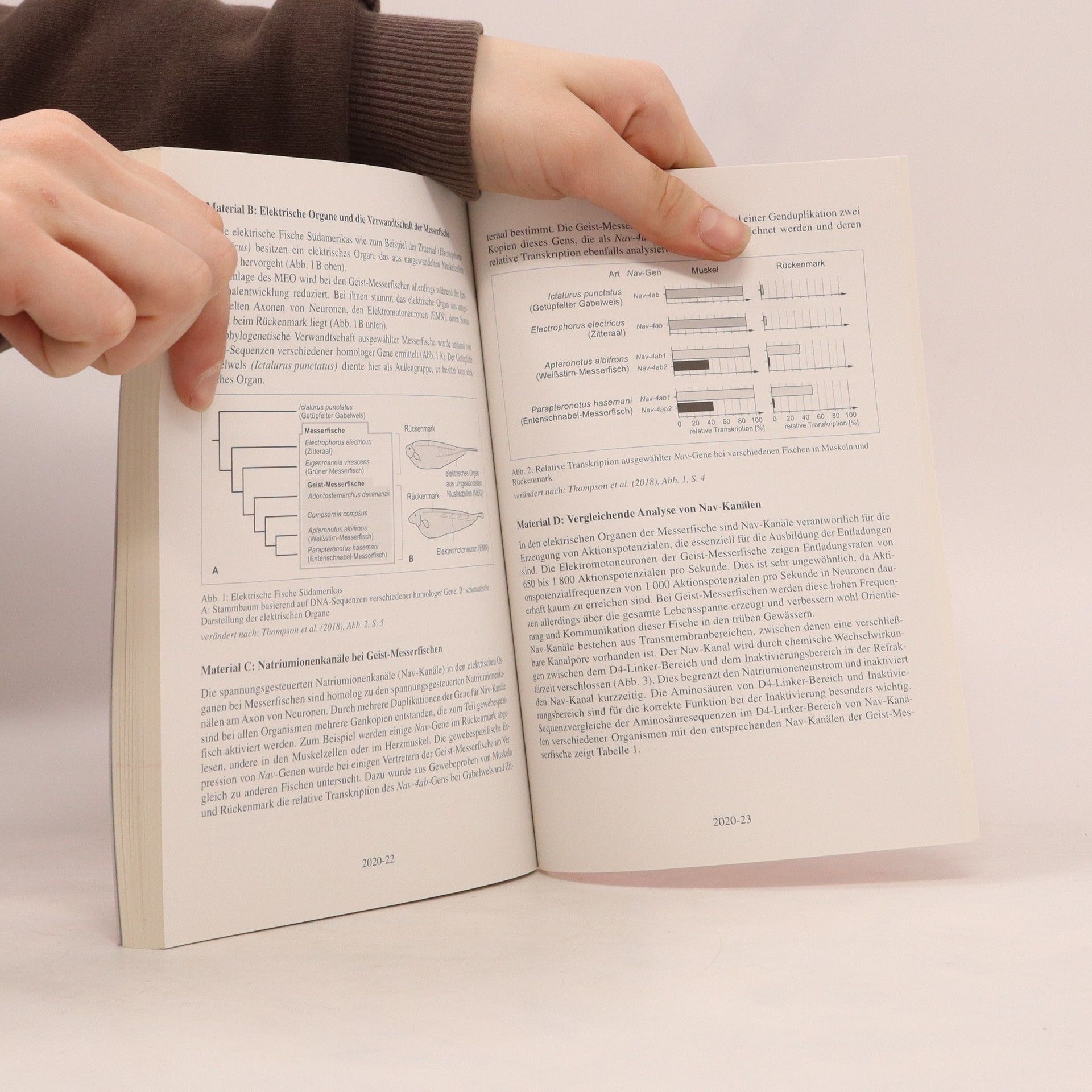 Autorenkollektiv 2023 Abitur. Biologie LK
