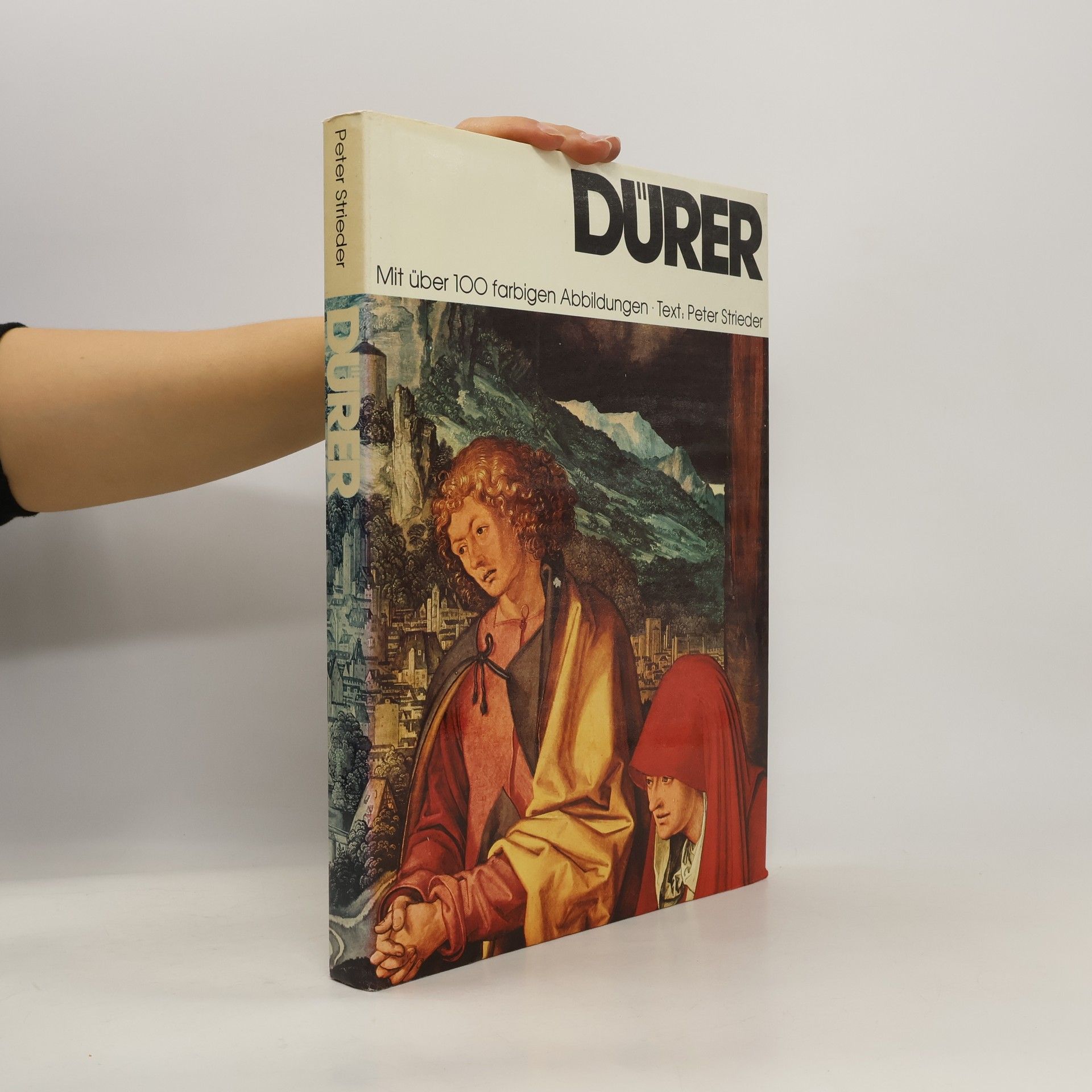 Peter Strieder Dürer. Mit über 100 farbigen Abbildungen