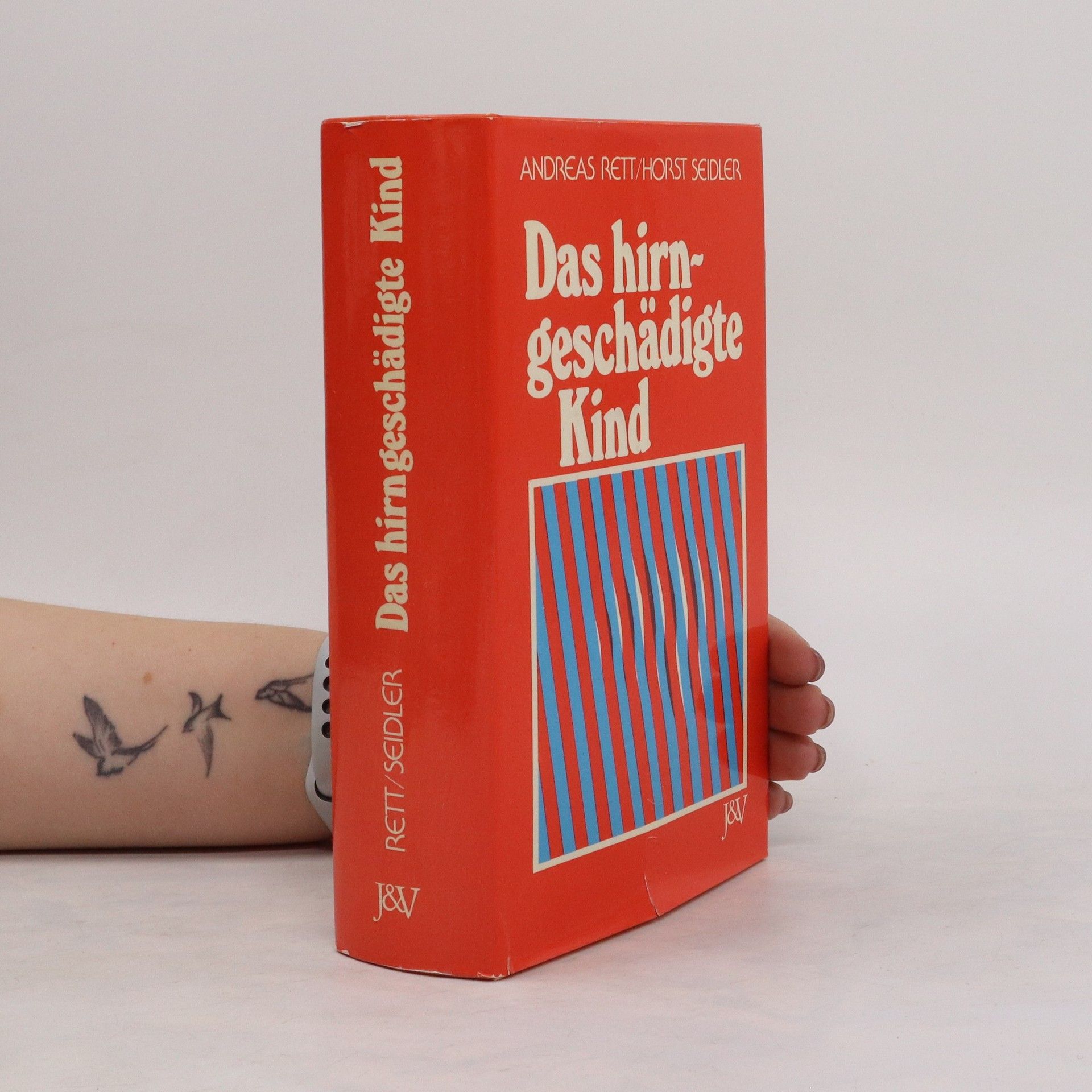 Andreas Rett Das hirngeschädigte Kind