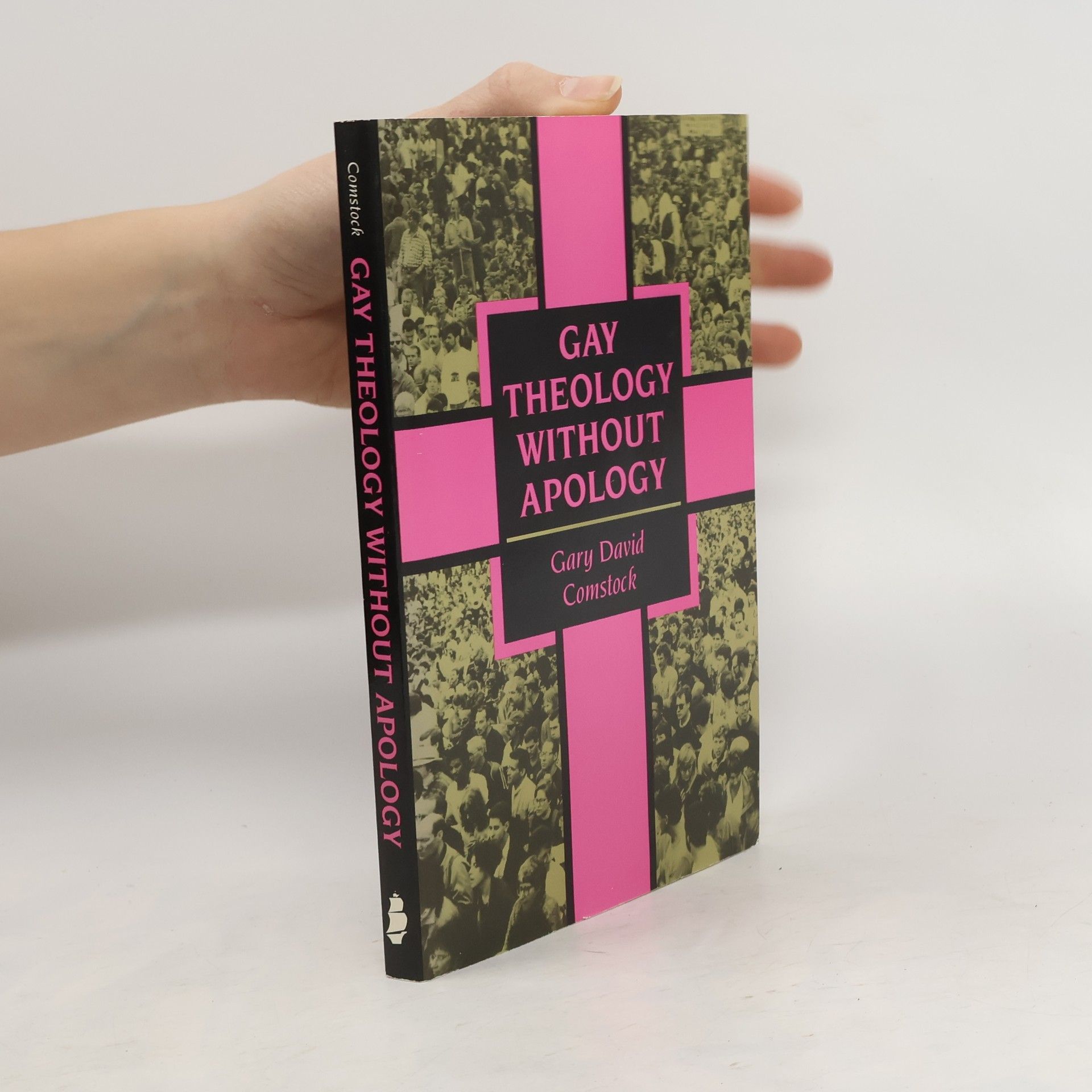 Gay Theology Without Apology