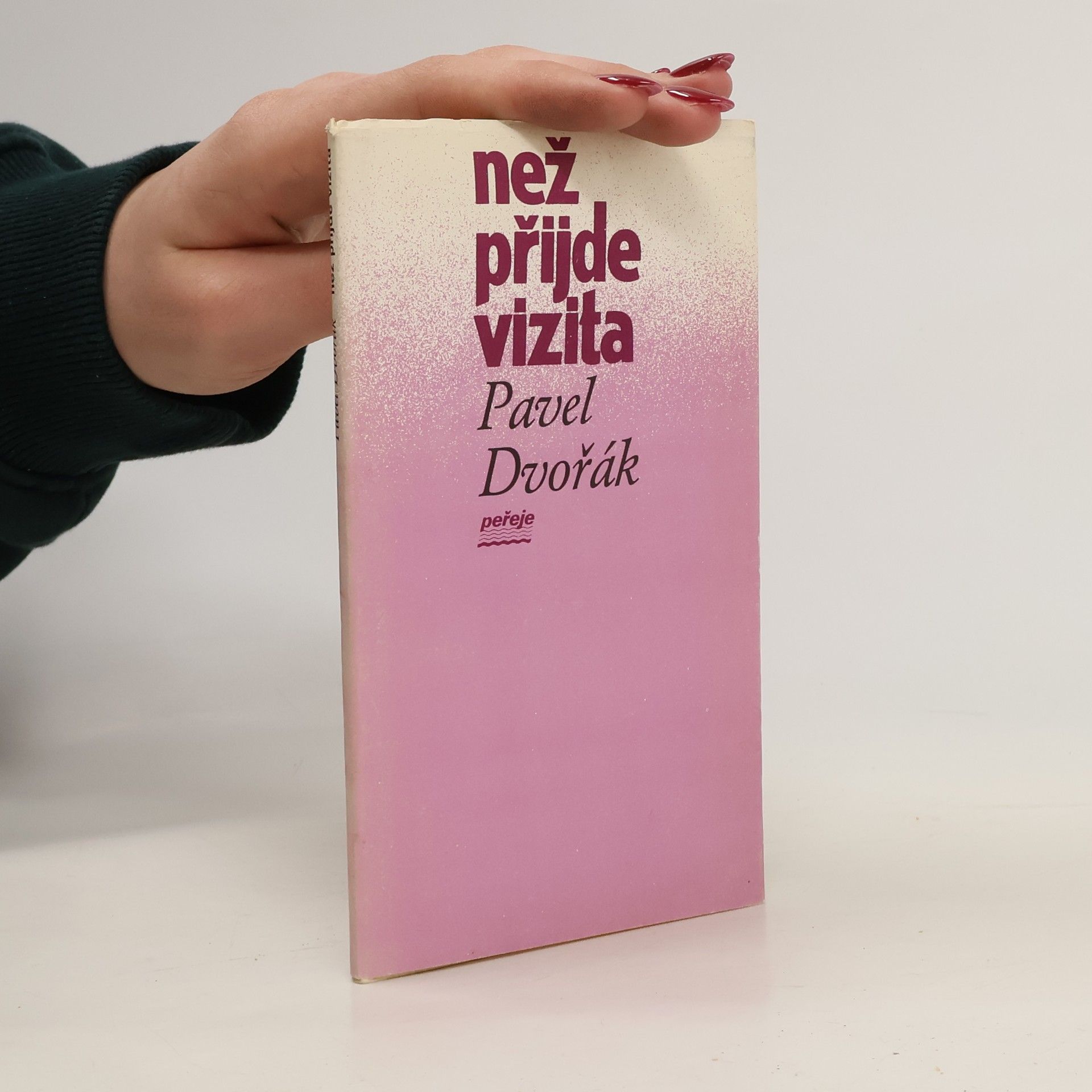 Pavel Dvořák Než přijde vizita