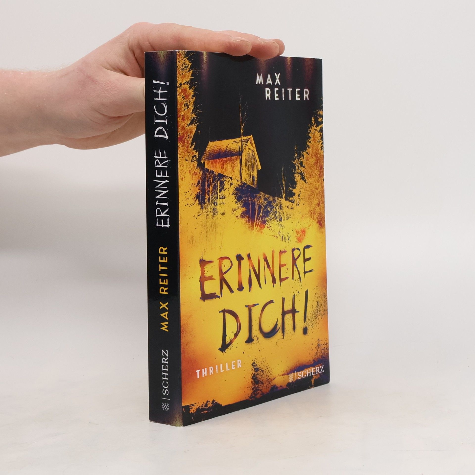 Max Reiter Erinnere dich!