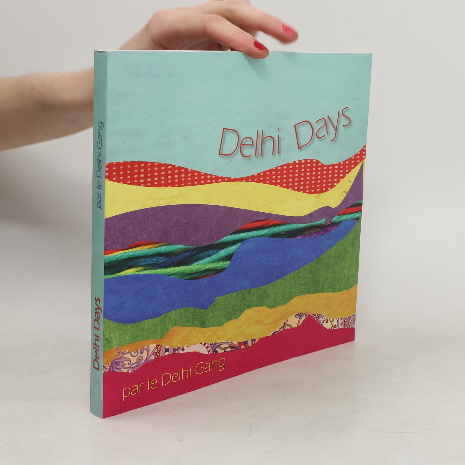 Collectif d'auteurs Delhi Days par le Delhi Gang