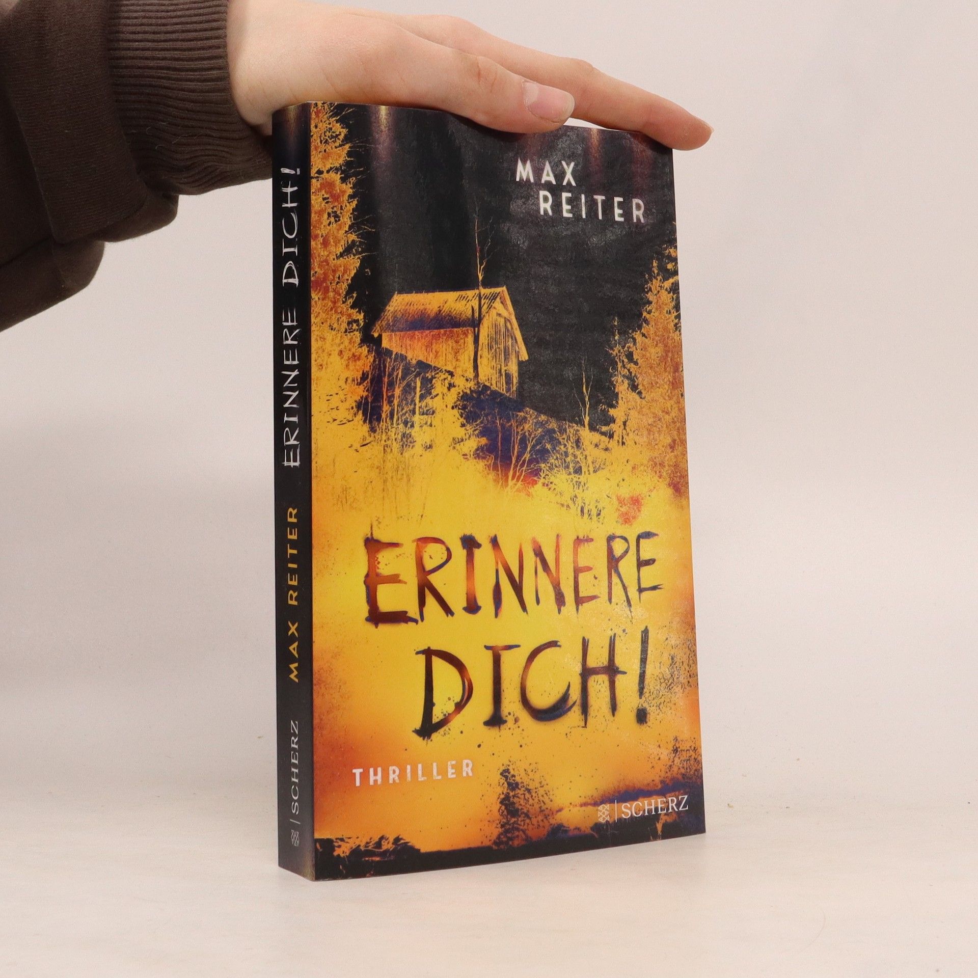 Max Reiter Erinnere dich!