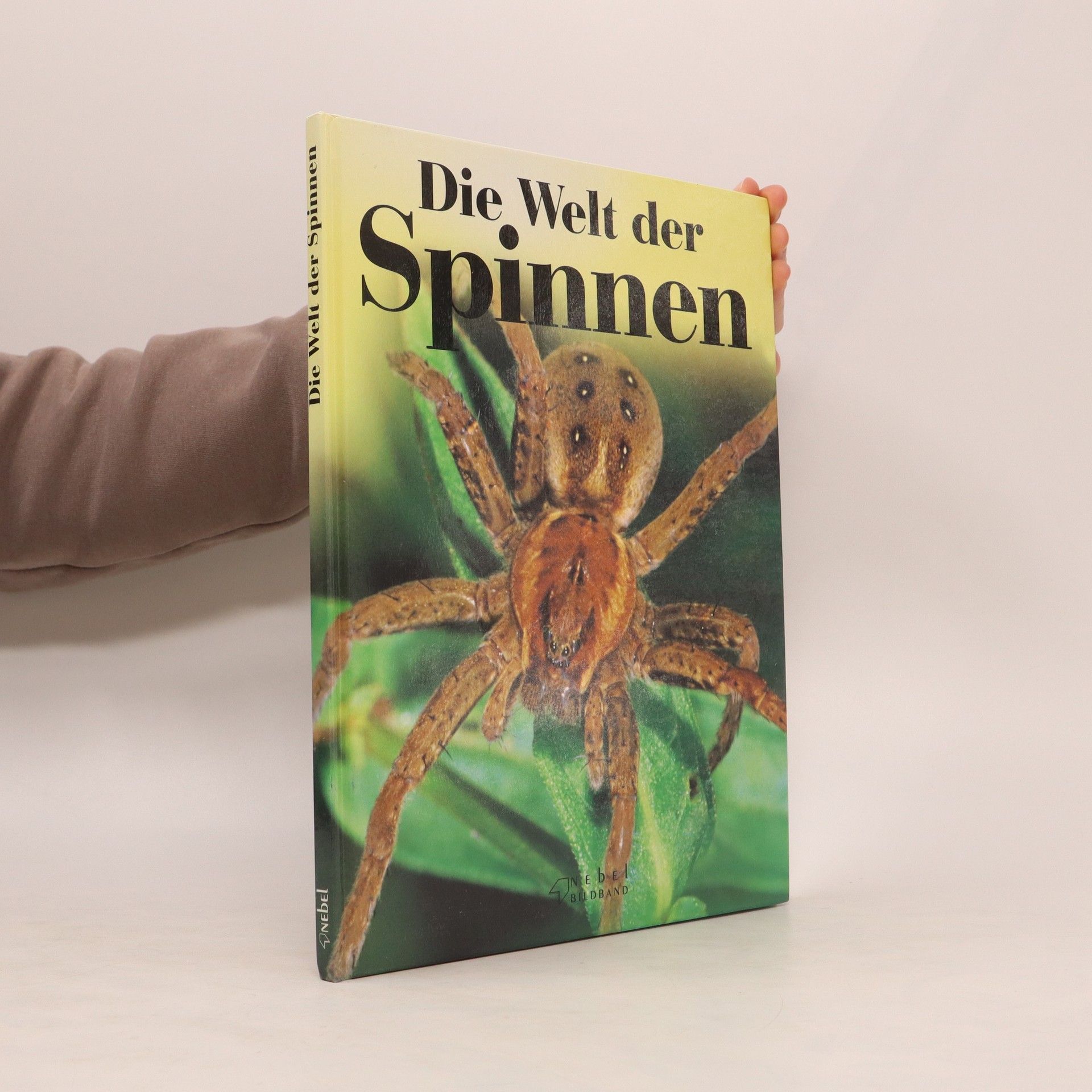 Uwe Leiendecker Die Welt der Spinnen