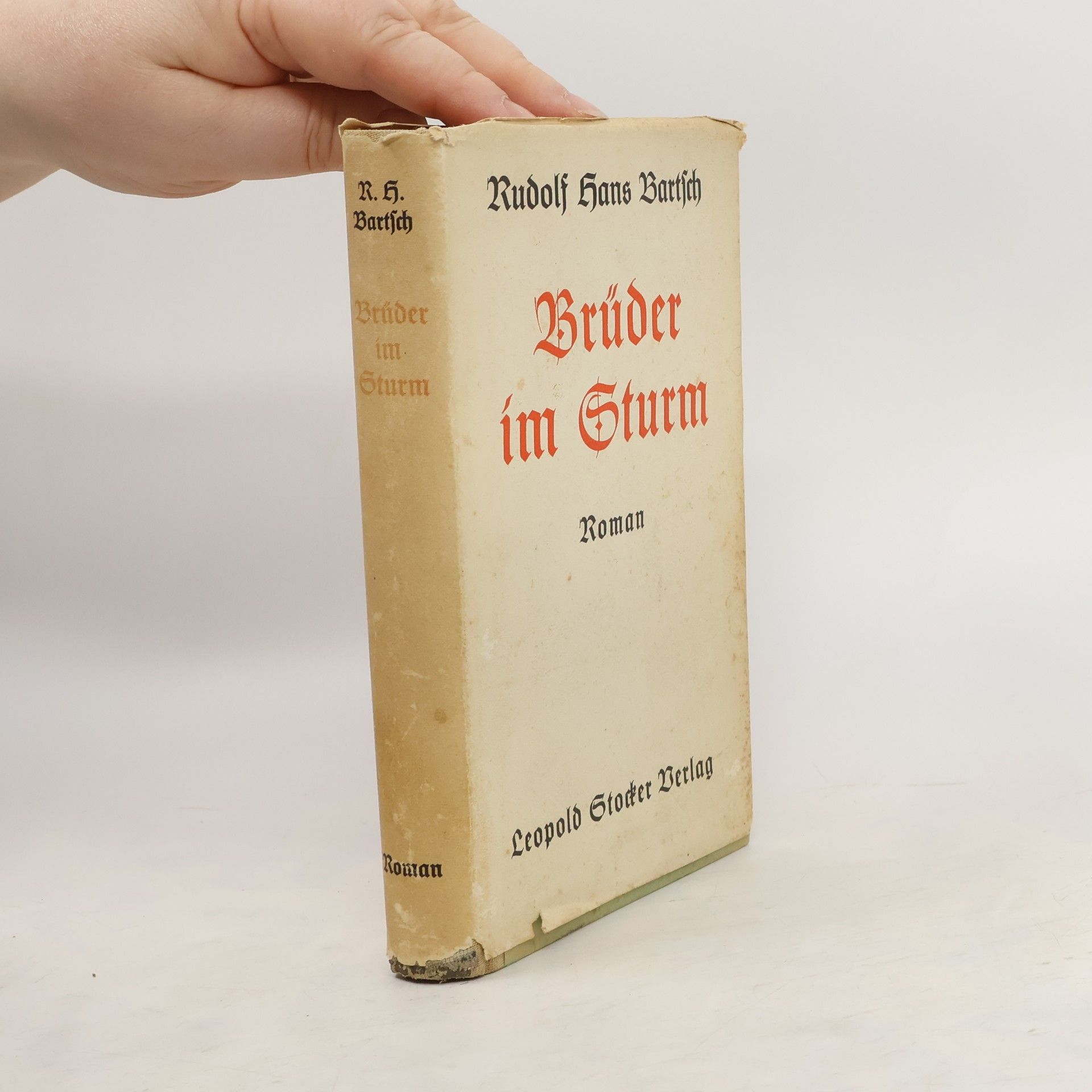 Rudolf hans Bartsch Brüder im Sturm