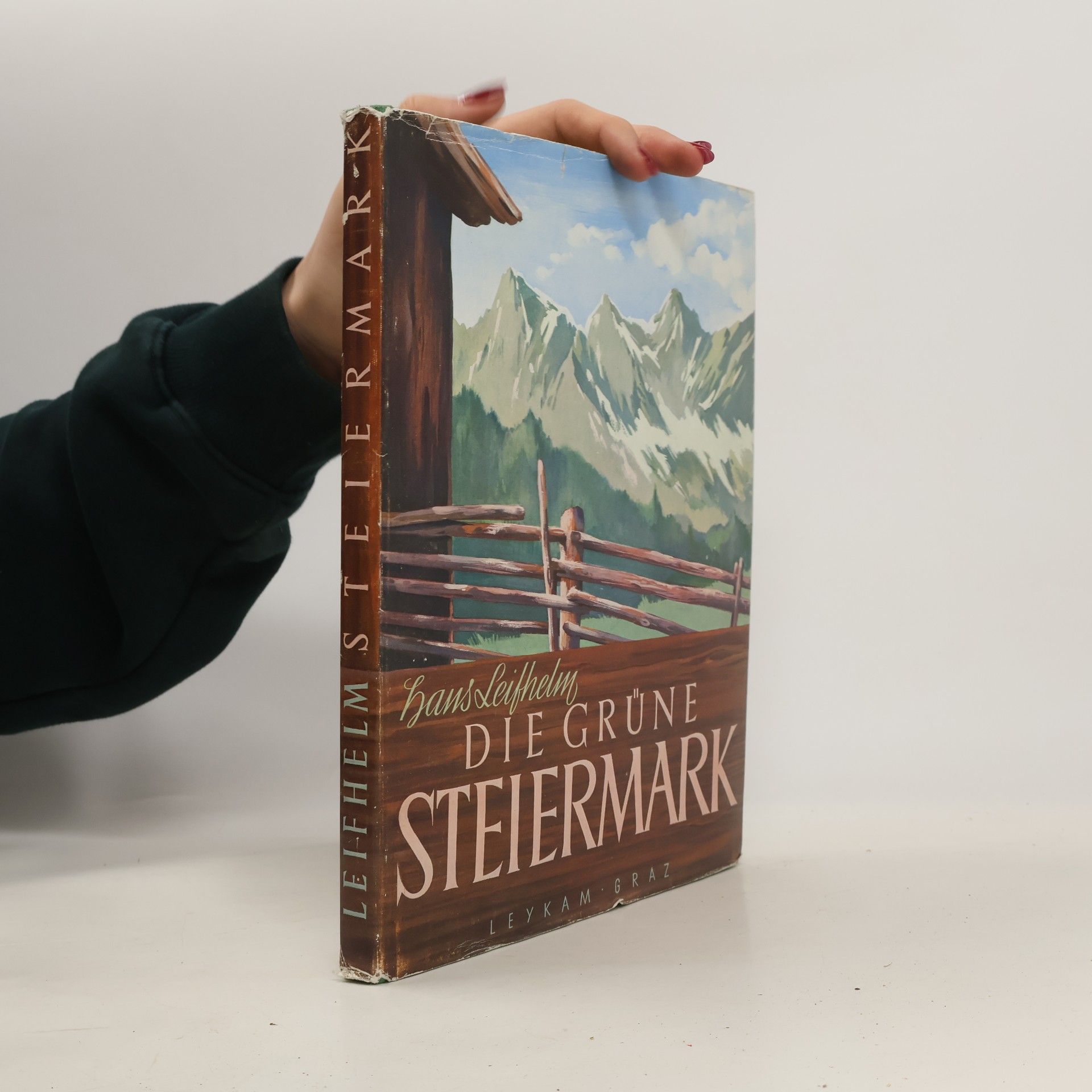 kolektiv Die Grüne Steiermark