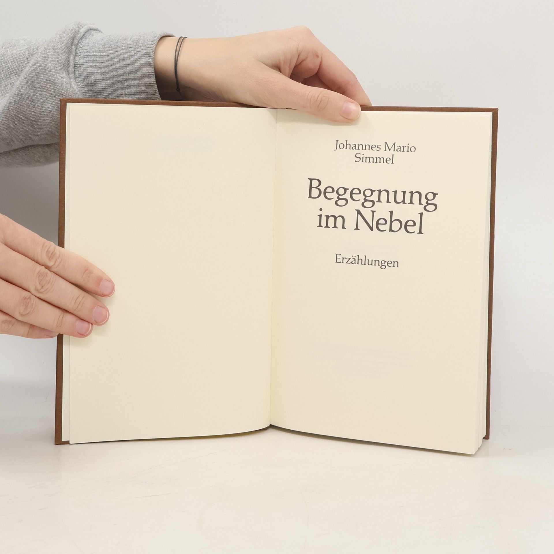 Johannes Mario Simmel Begegnung im Nebel