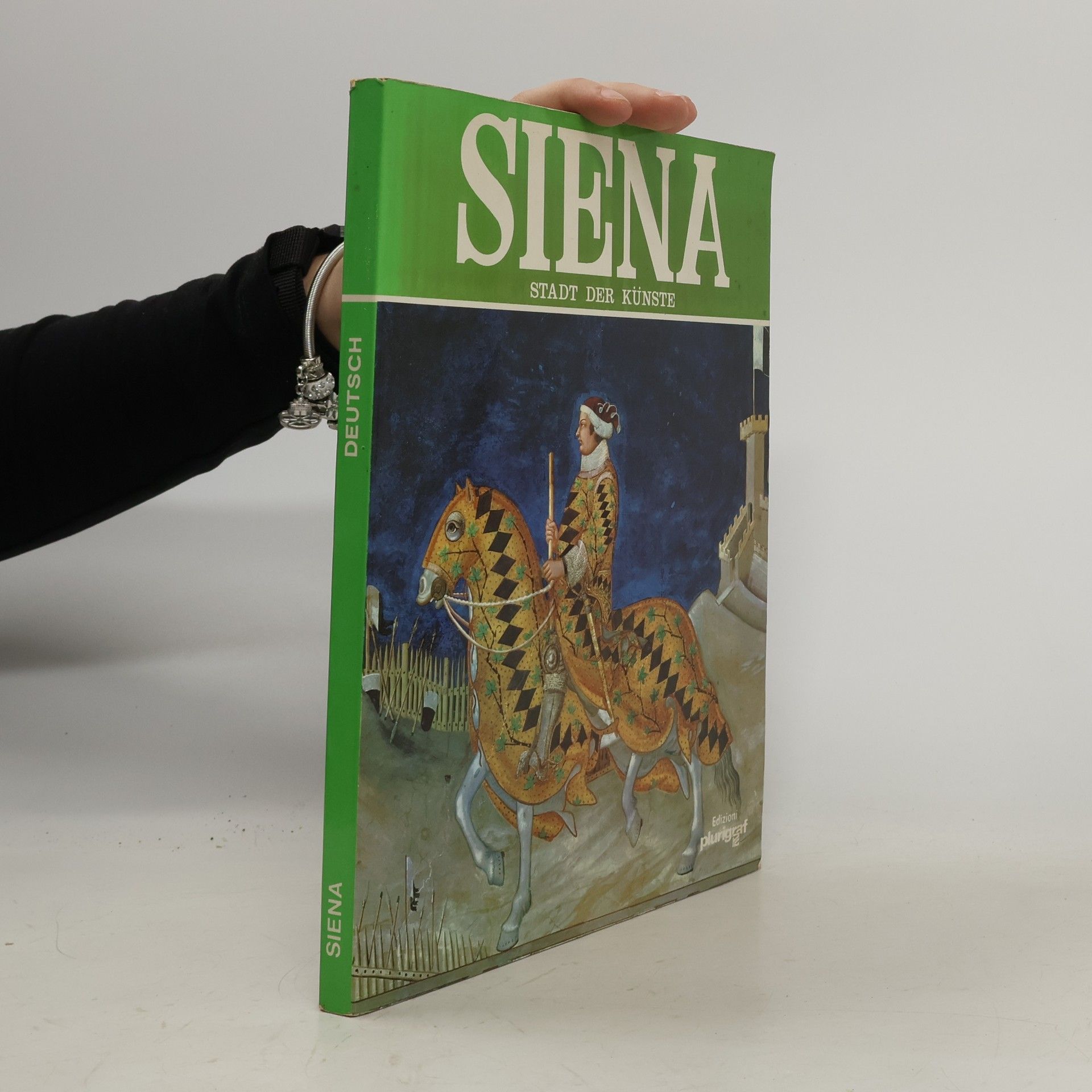 neuveden Siena. Stadt der Kunst