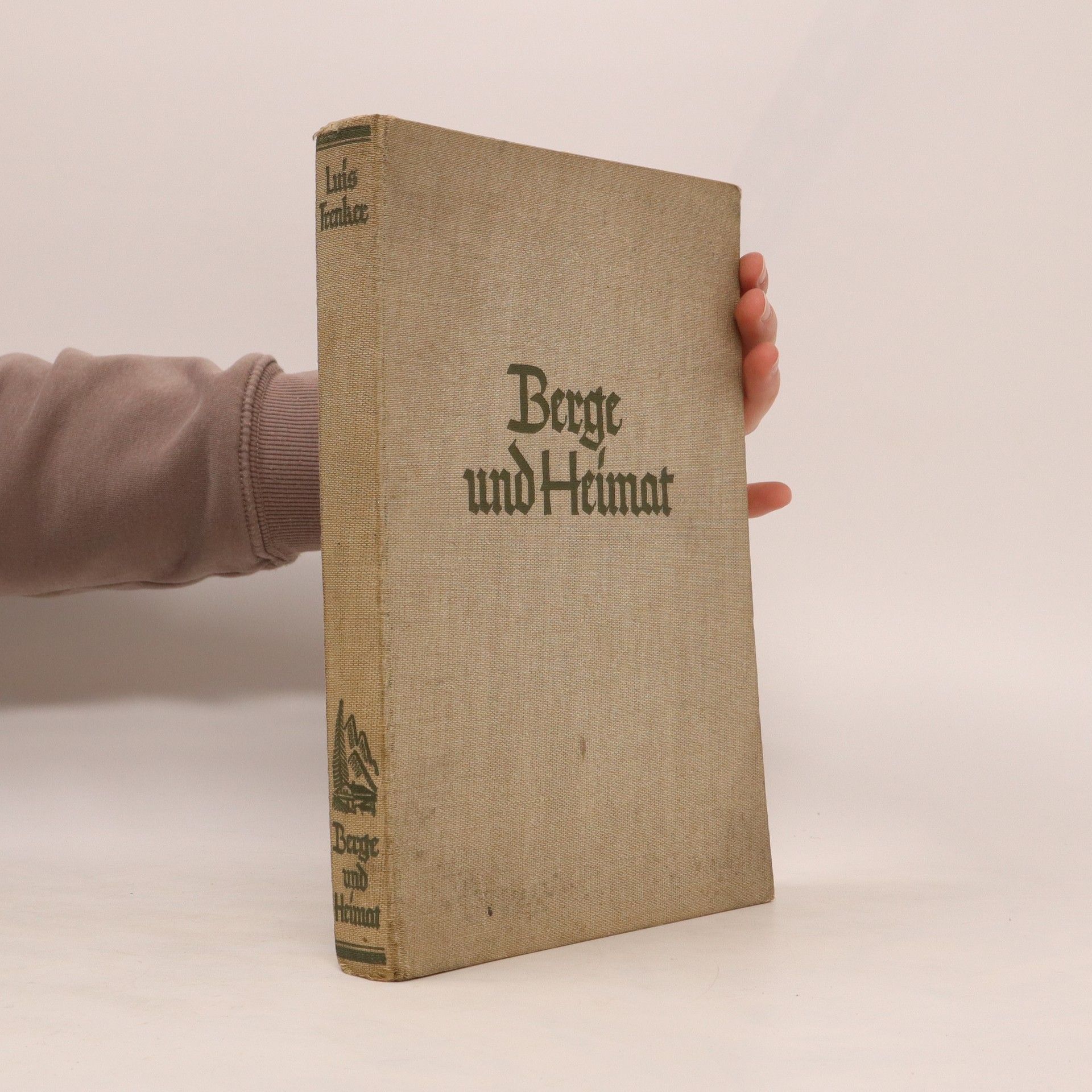 Walter Schmidkunz Berge und Heimat