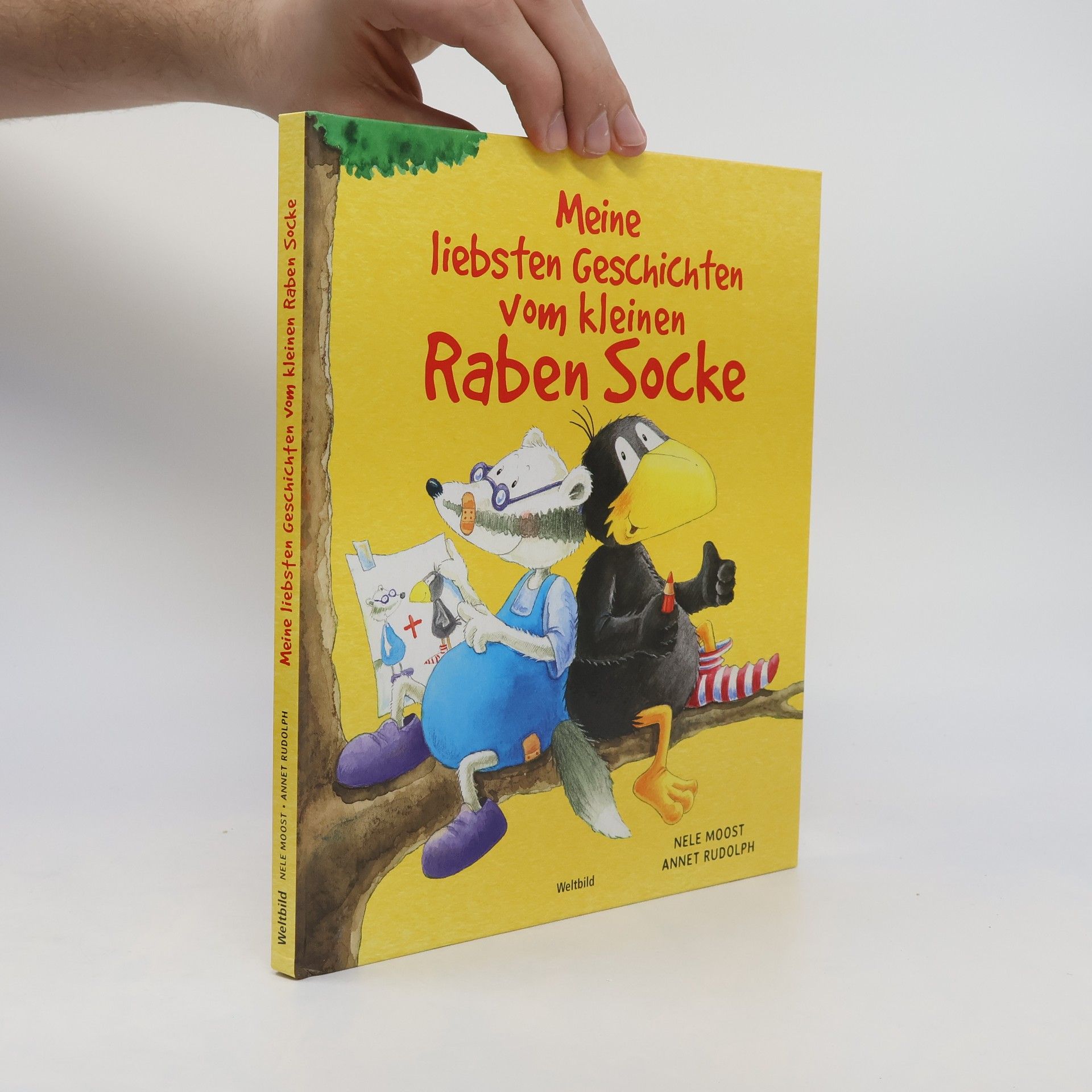 Nele Moost Meine liebsten Geschichten vom kleinen Raben Socke