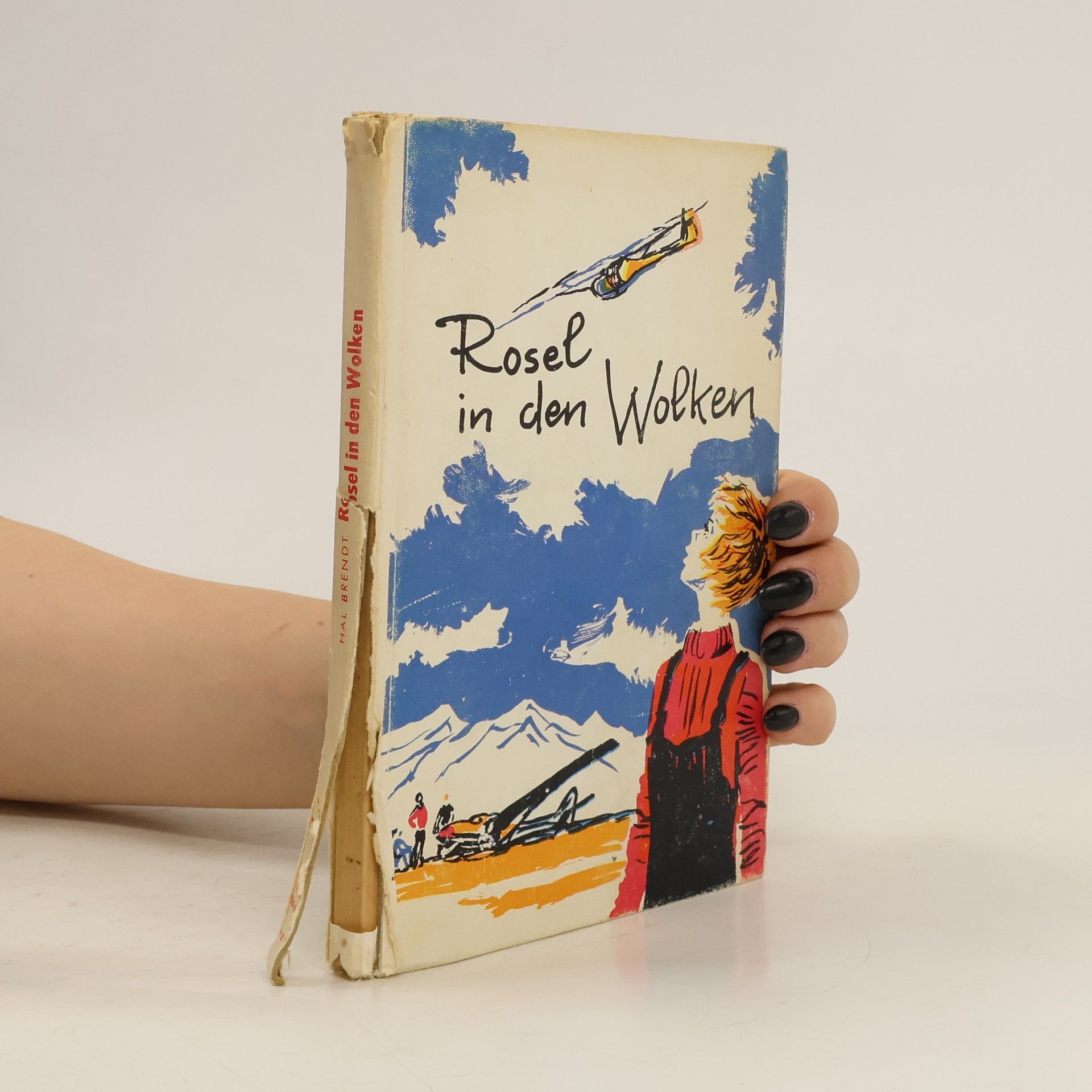 Hal Brendt Rosel in den Wolken