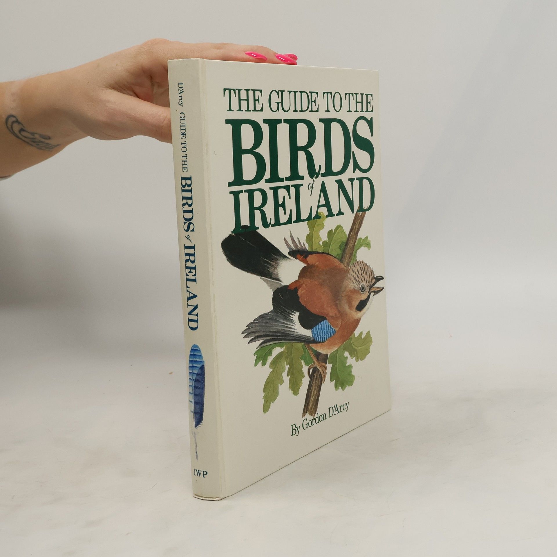 Gordon D'Arcy The Guide to the Birds of Ireland