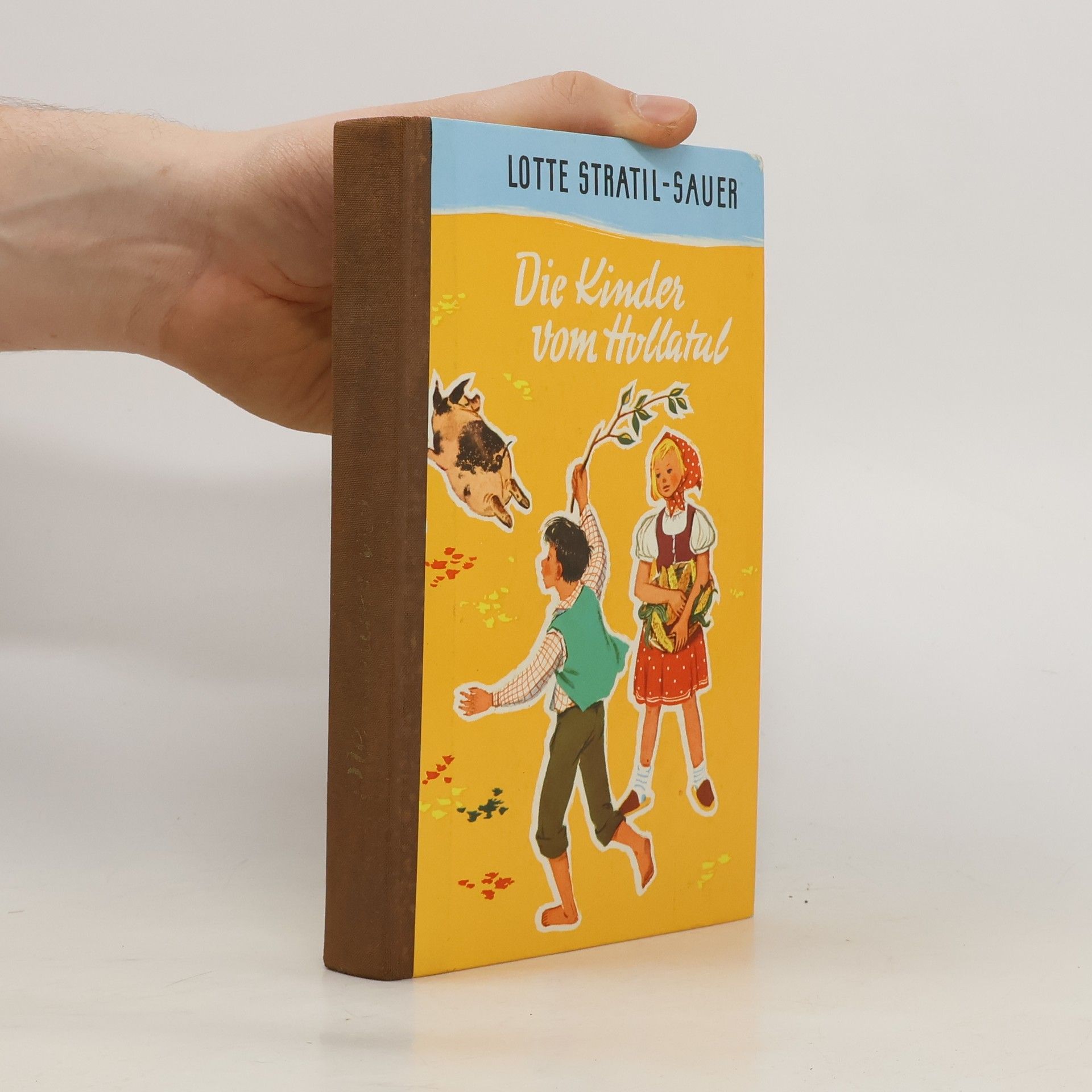 Lotte Stratil-Sauer Die Kinder vom Hollatal