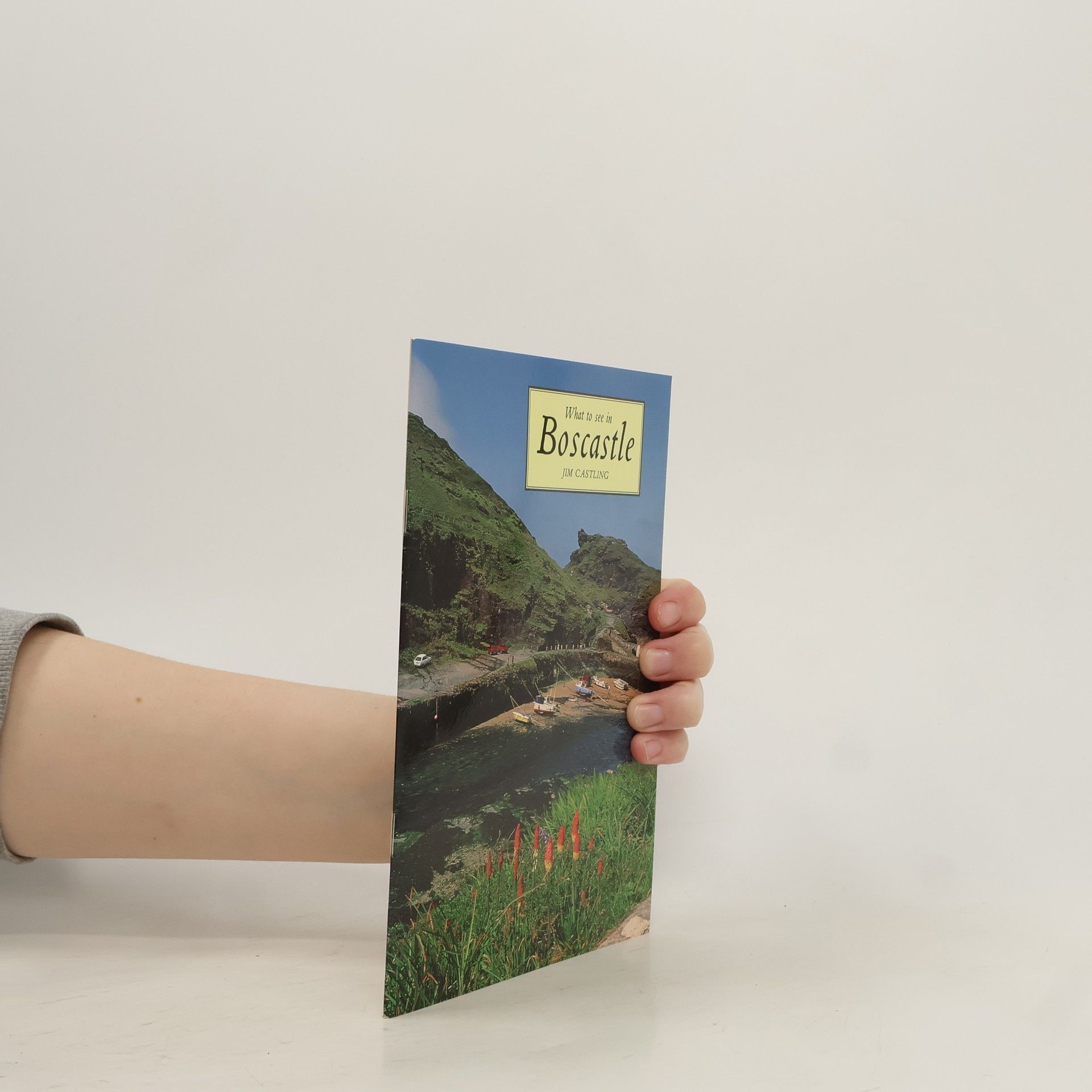 Jim Castling What to see in Boscastle