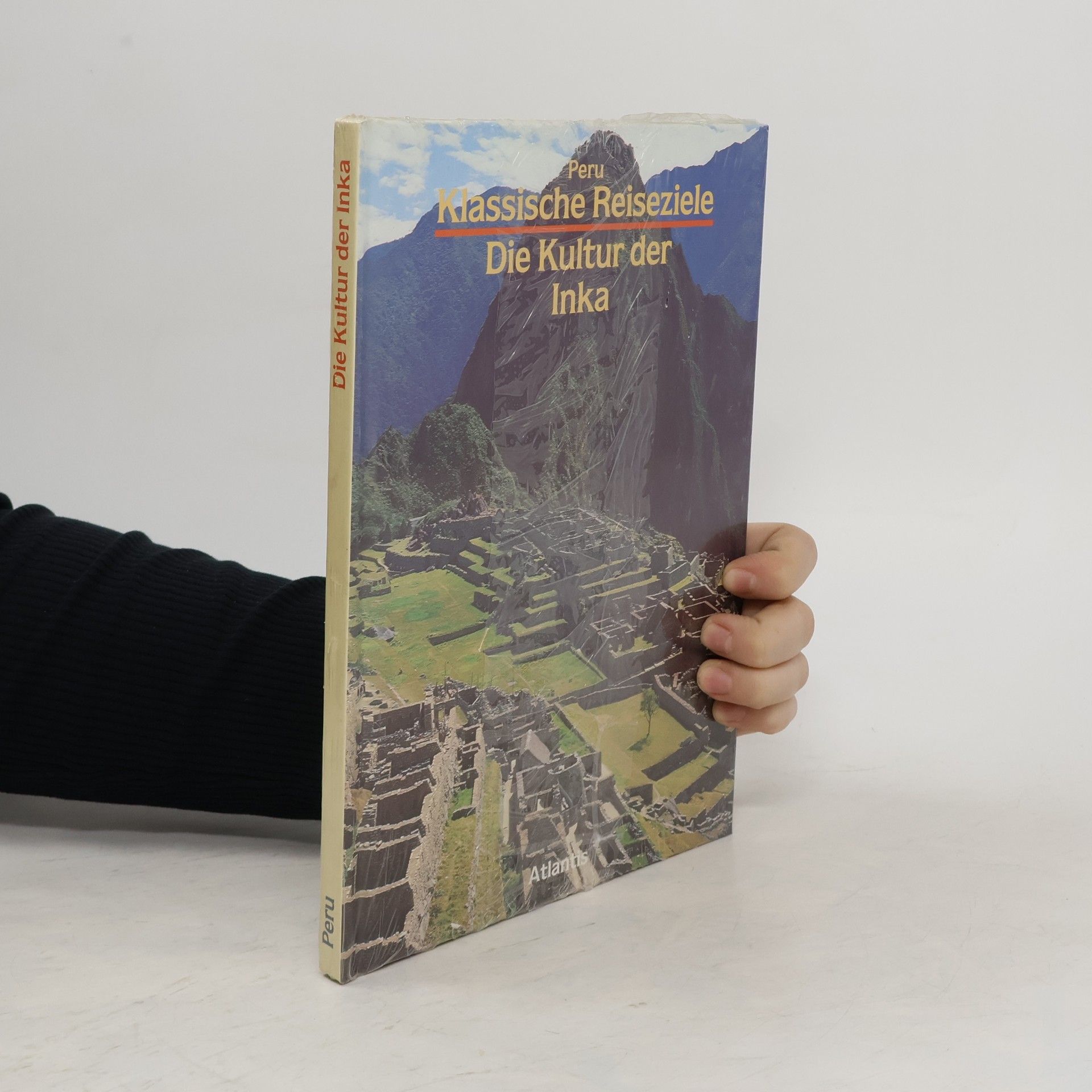 Francesco Ricciu Die Kultur der Inka