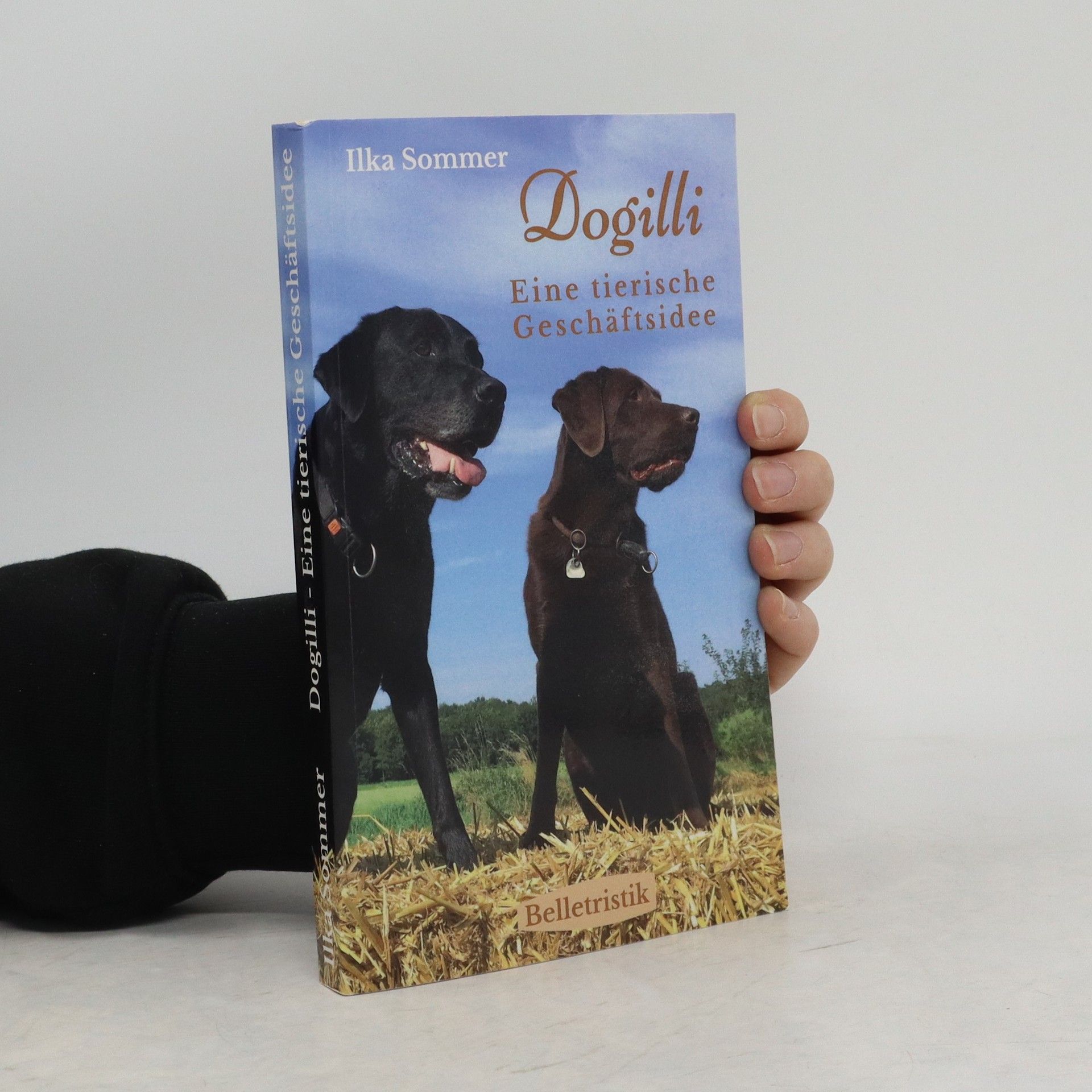 Ilka Sommer Dogilli