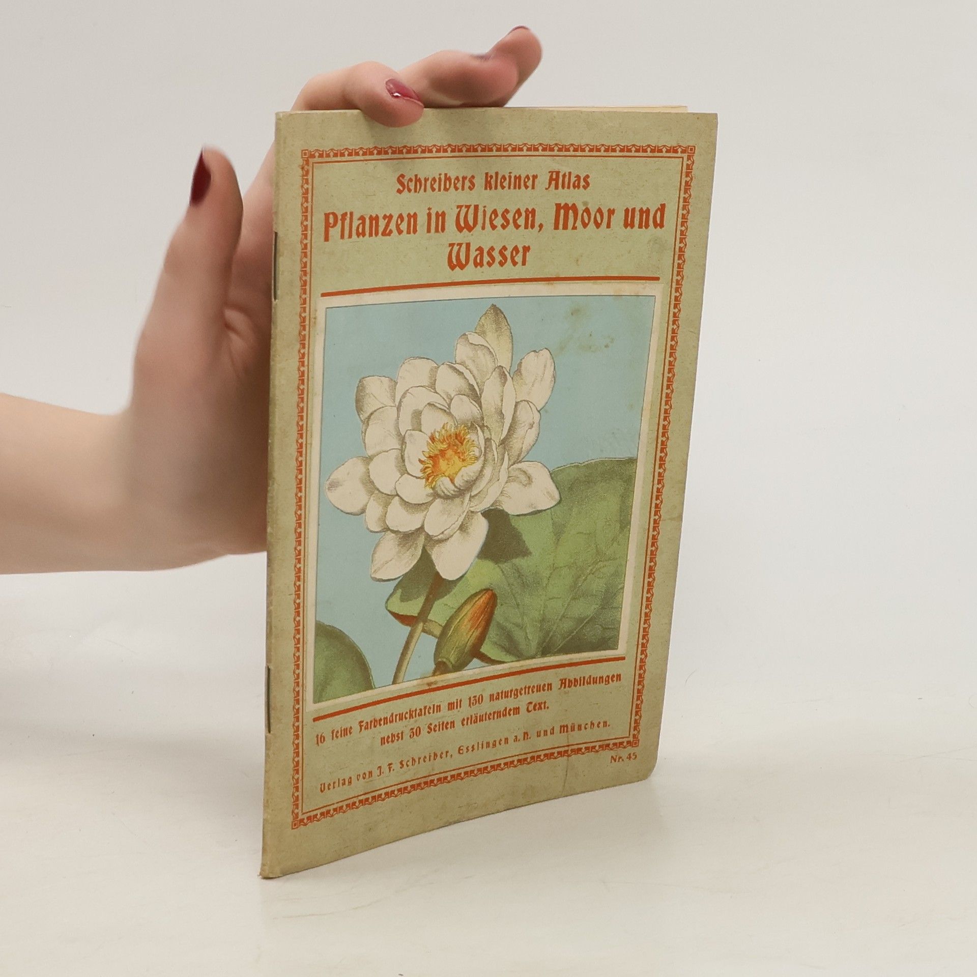 Auteurscollectief Pflanzen in Wiesen, Moor und Wasser