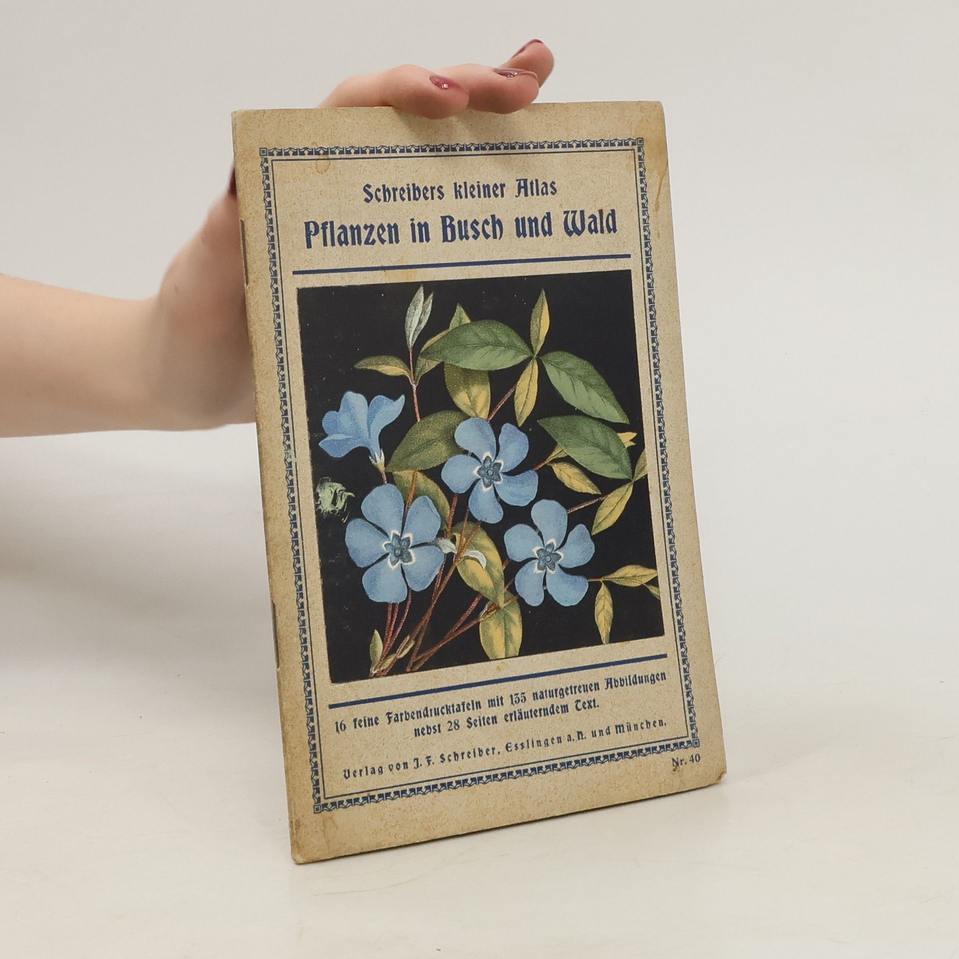 Auteurscollectief Pflanzen Busch und Wald