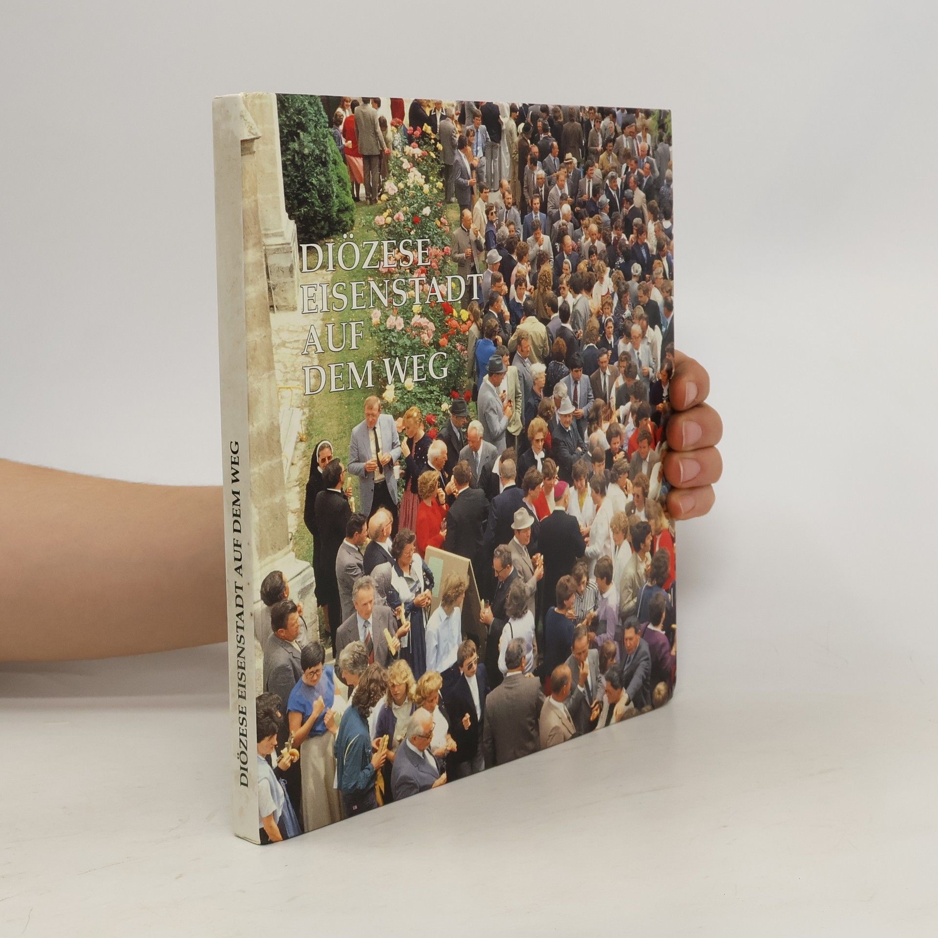 Autores varios Diözese Eisenstadt auf dem Weg