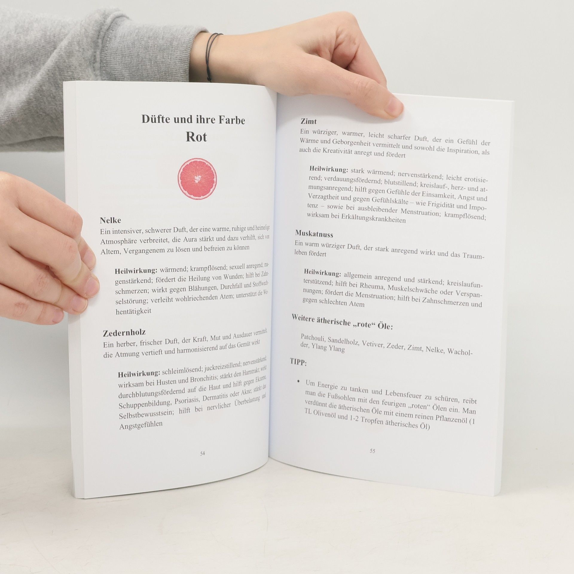 Autorenkollektiv Ätherische Öle im Licht der Farben