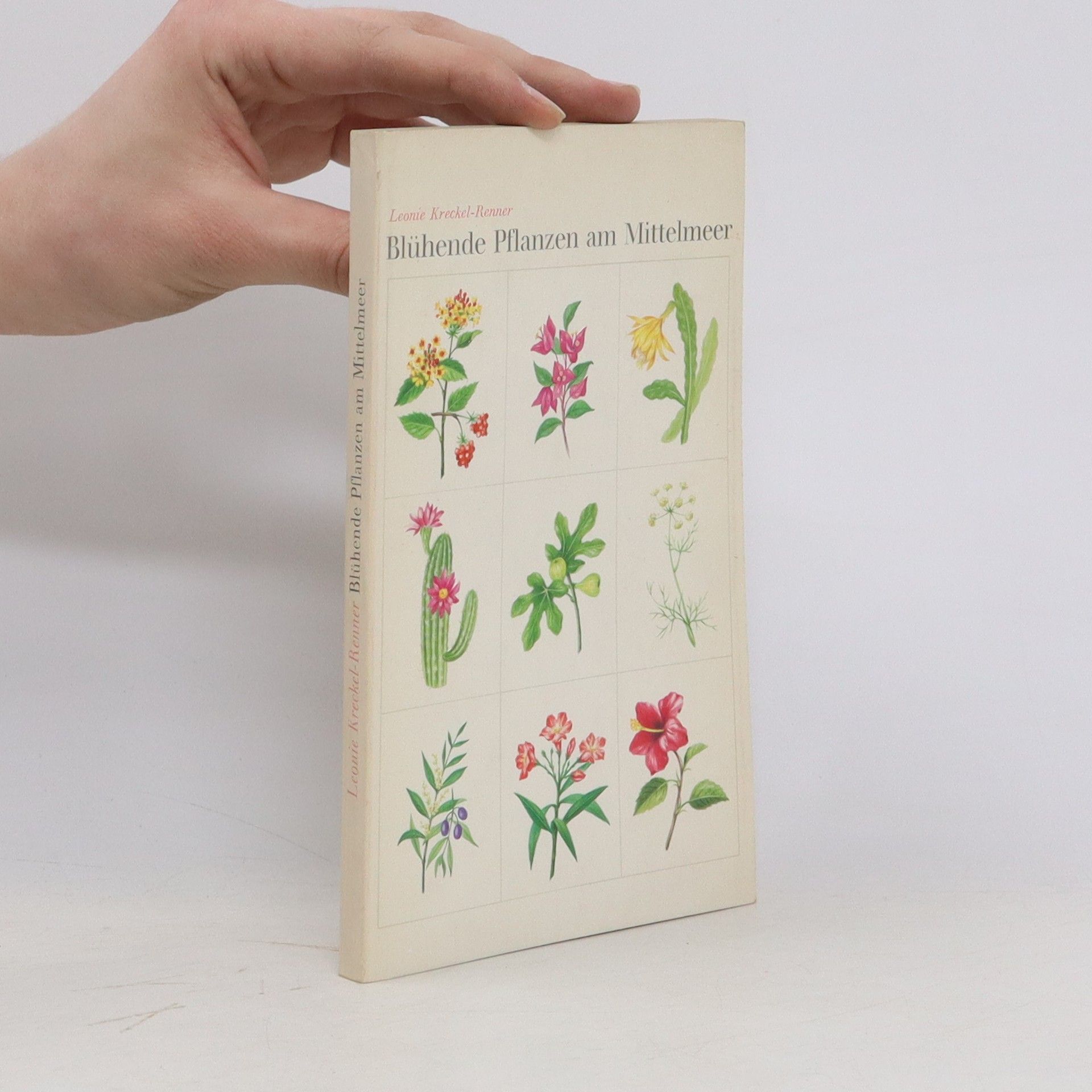 Leonie Kreckel - Renner Blühende Pflanzen am Mittelmeer