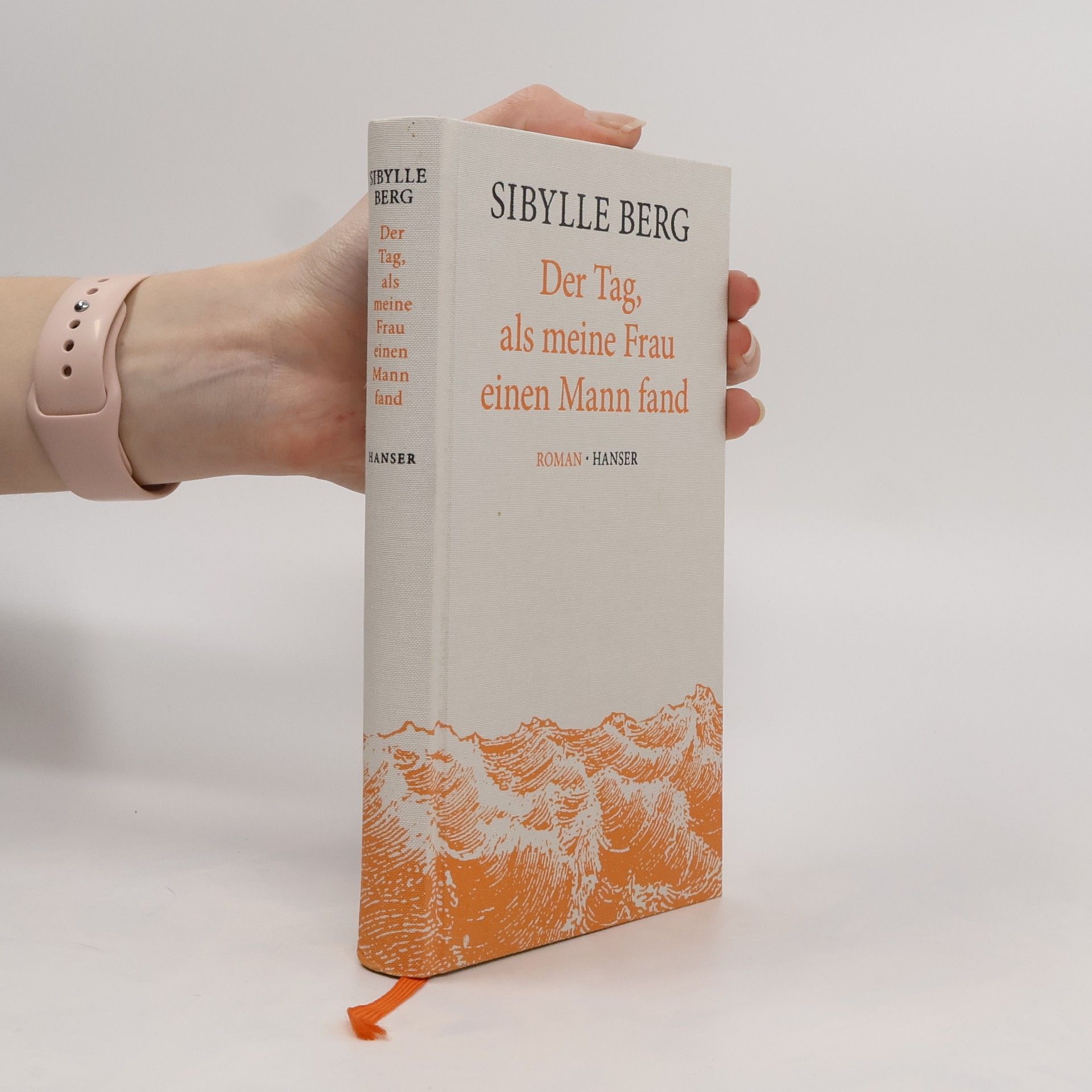 Sibylle Berg Der Tag, als meine Frau einen Mann fand