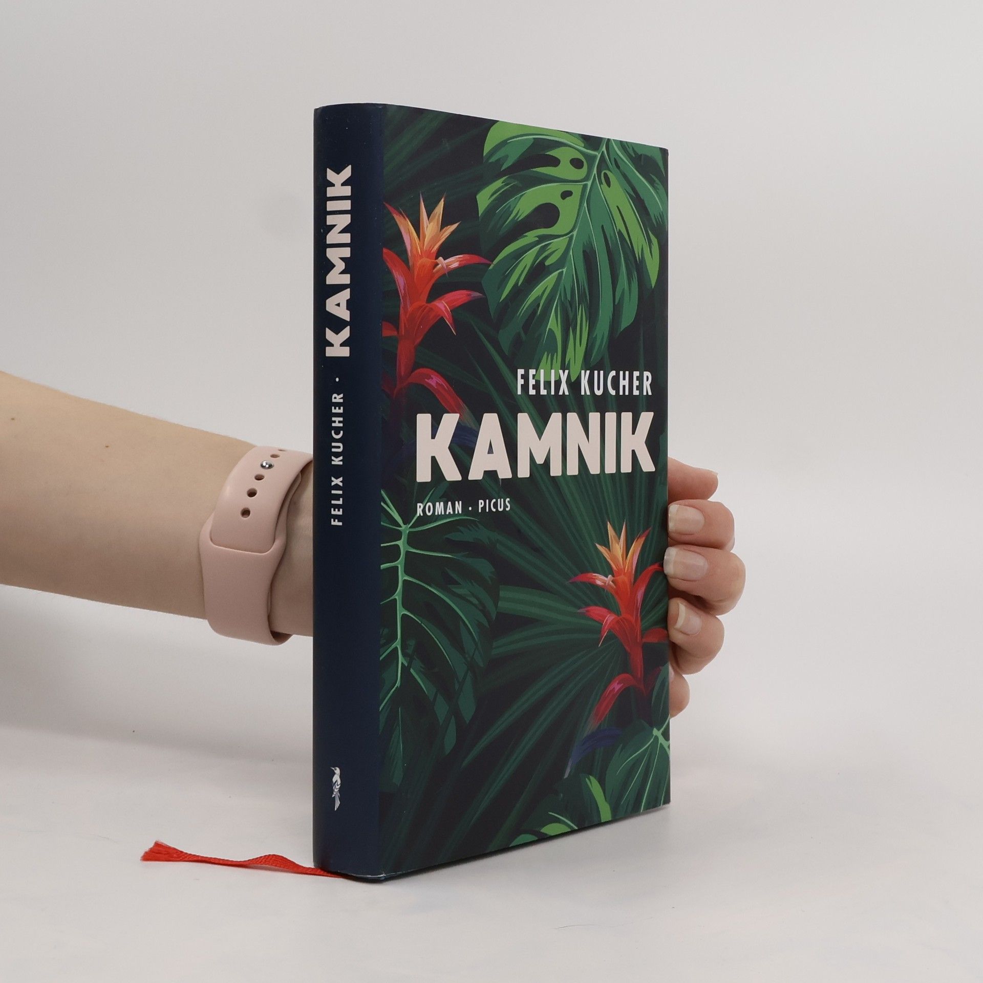Felix Kucher Kamnik