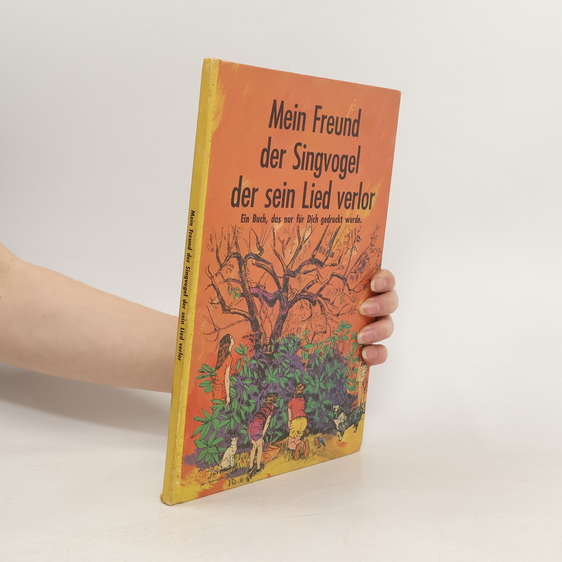 Patricia Thomas Mein Freund der Singvogel der sein Lied verlor