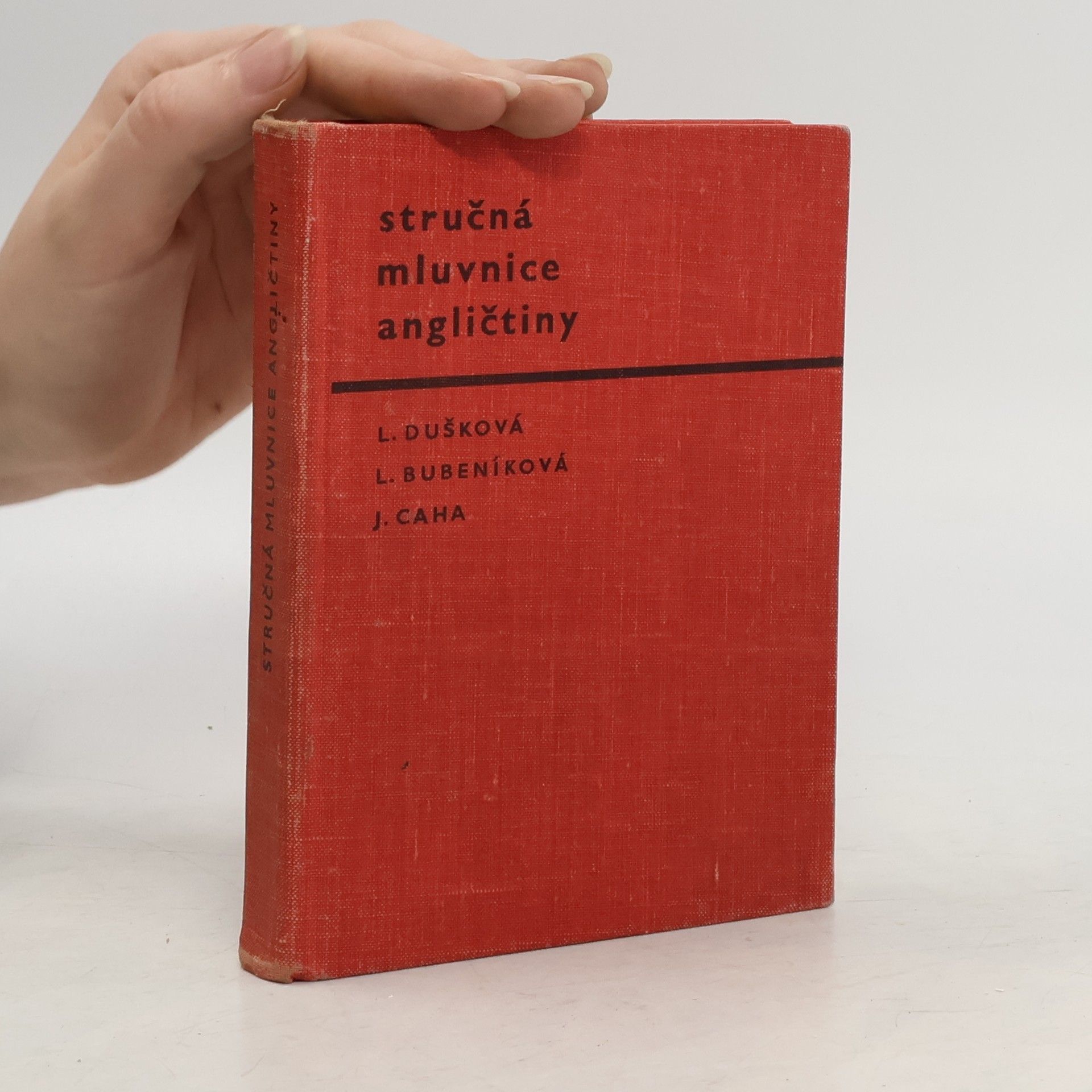 Collectif d'auteurs Stručná mluvnice angličtiny