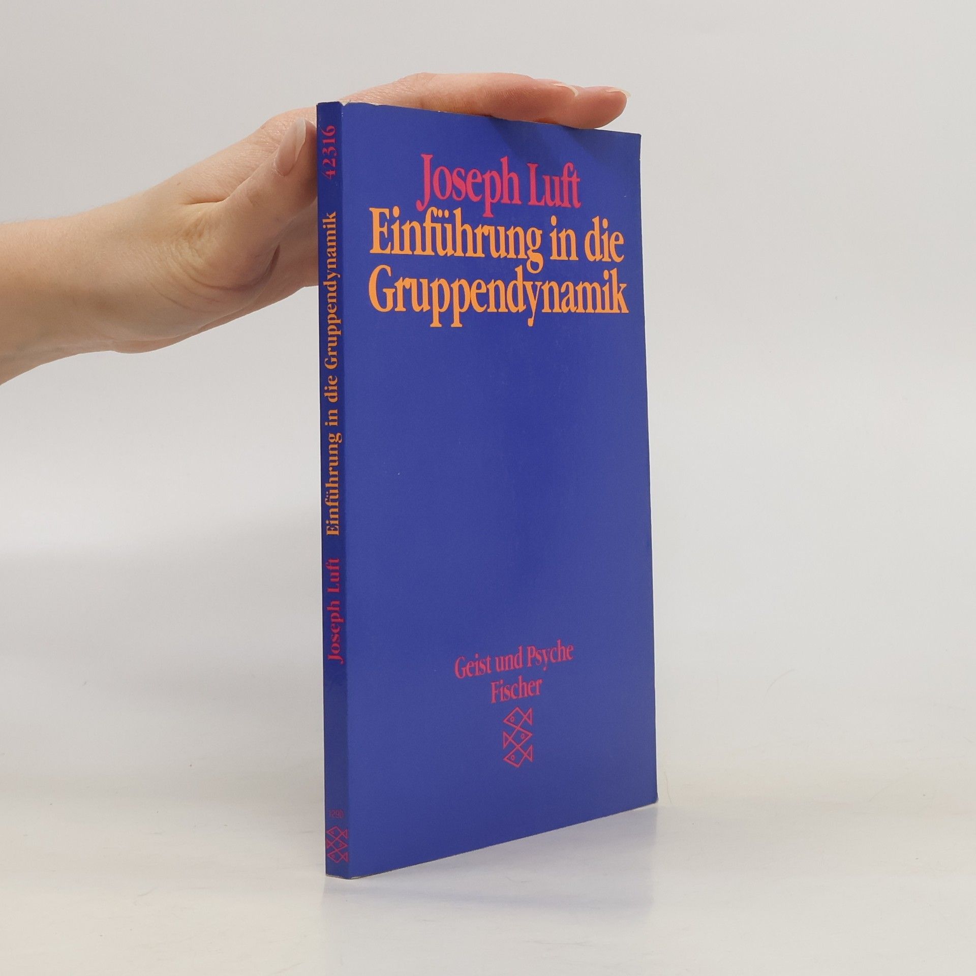 Joseph Luft Einführung in die Gruppendynamik