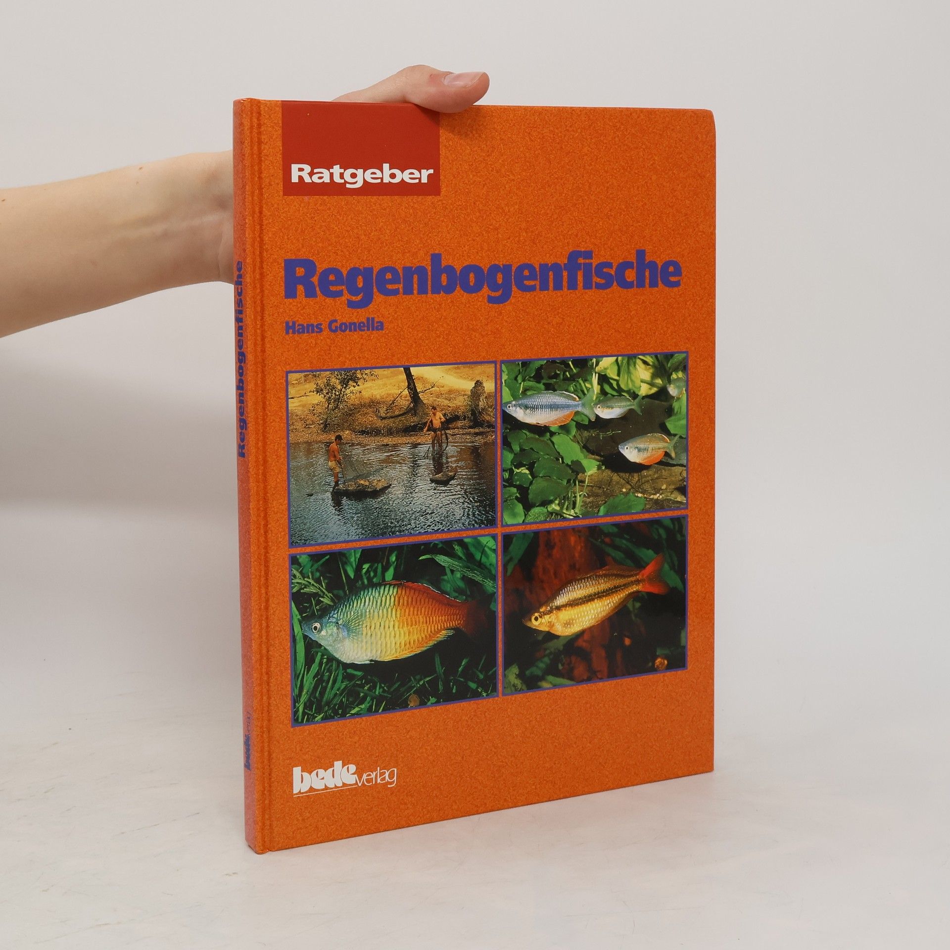 Hans Gonella Regenbogenfische