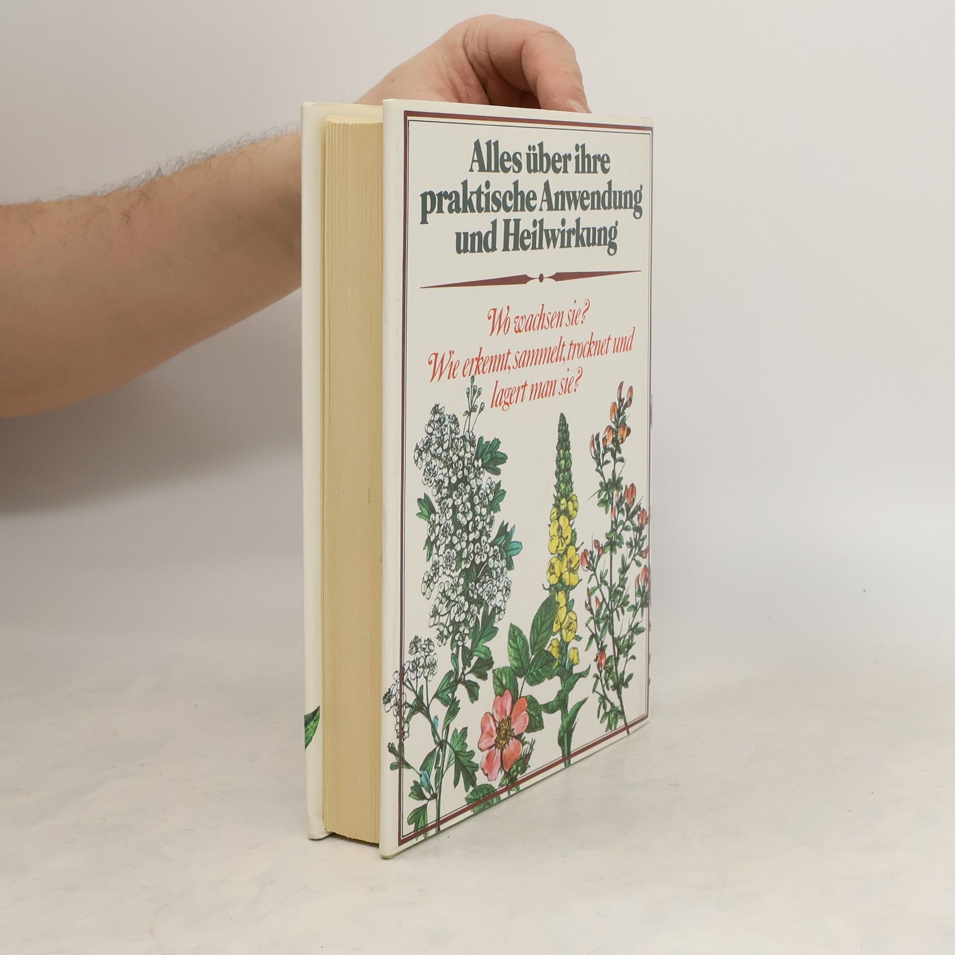 Autores varios Lexikon der Heilpflanzen