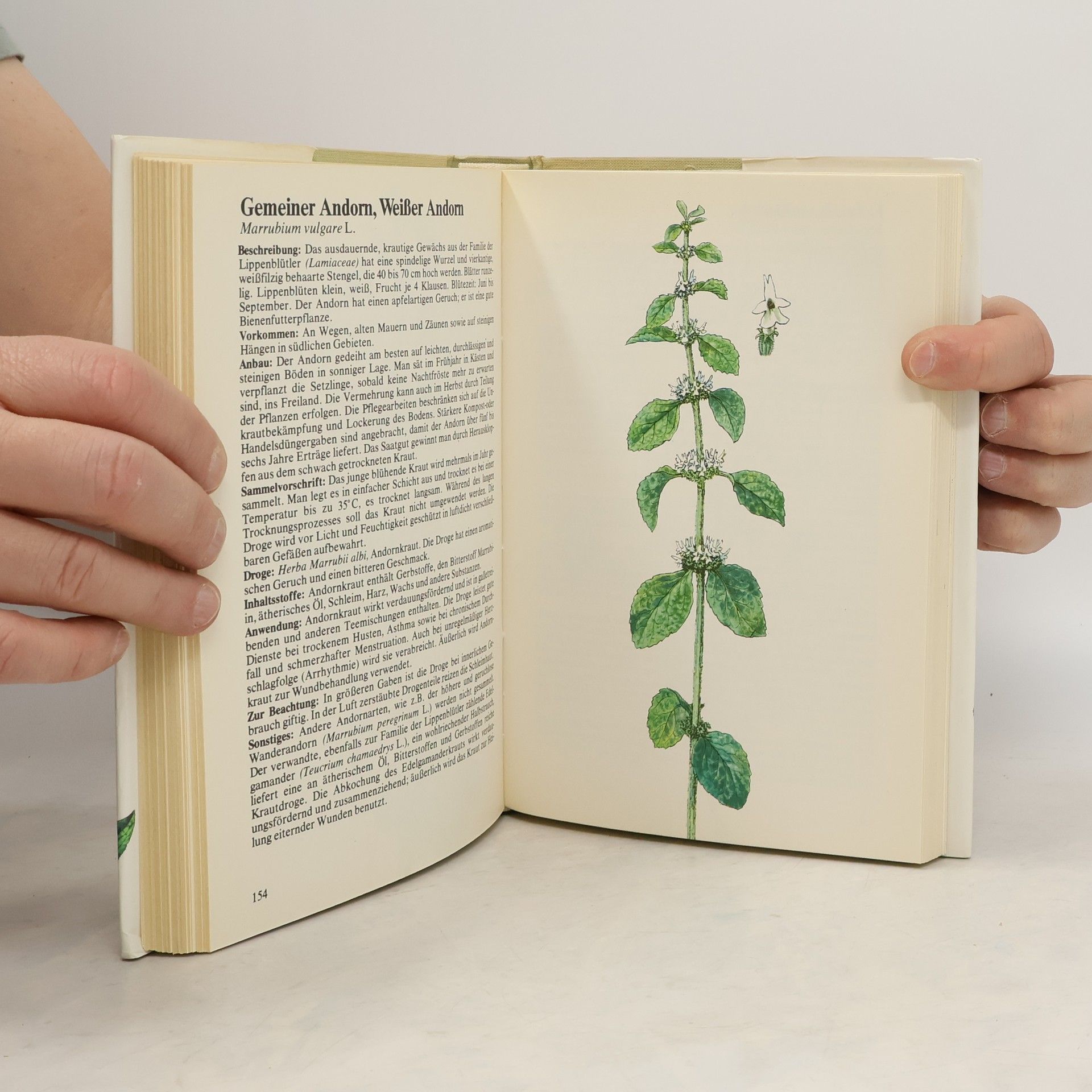 Autores varios Lexikon der Heilpflanzen