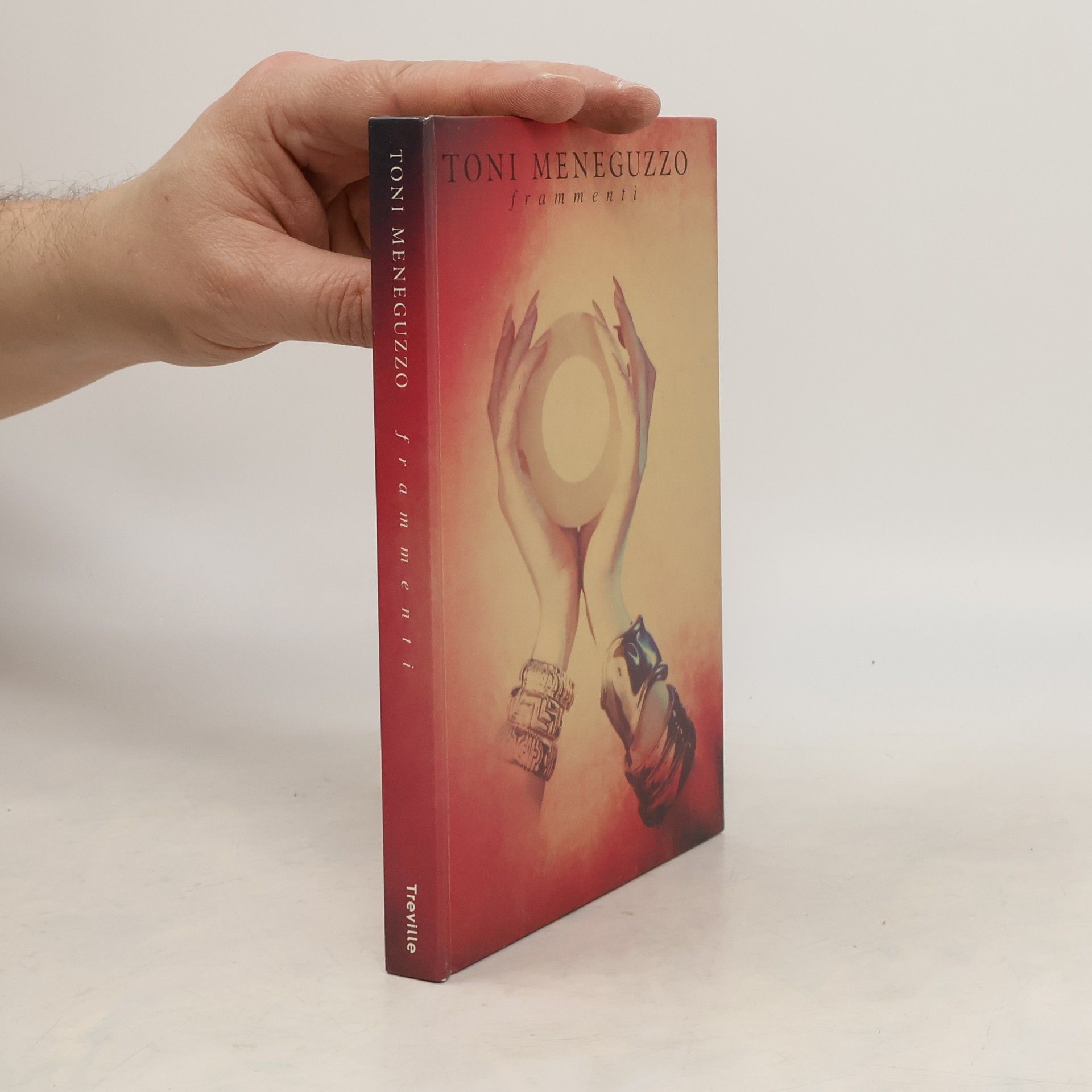 Toni Meneguzzo Frammenti