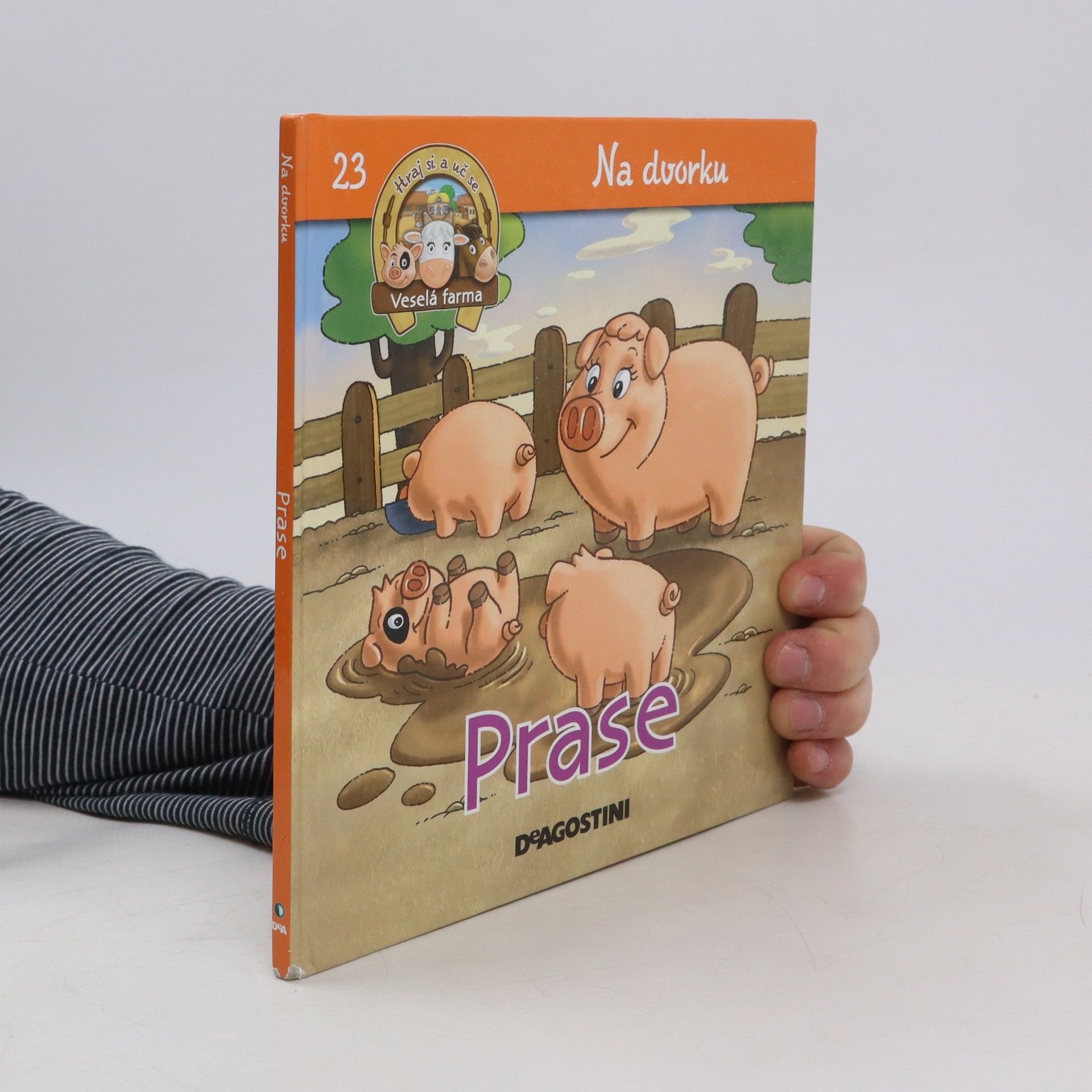 kolektiv Na dvorku 23. Prase