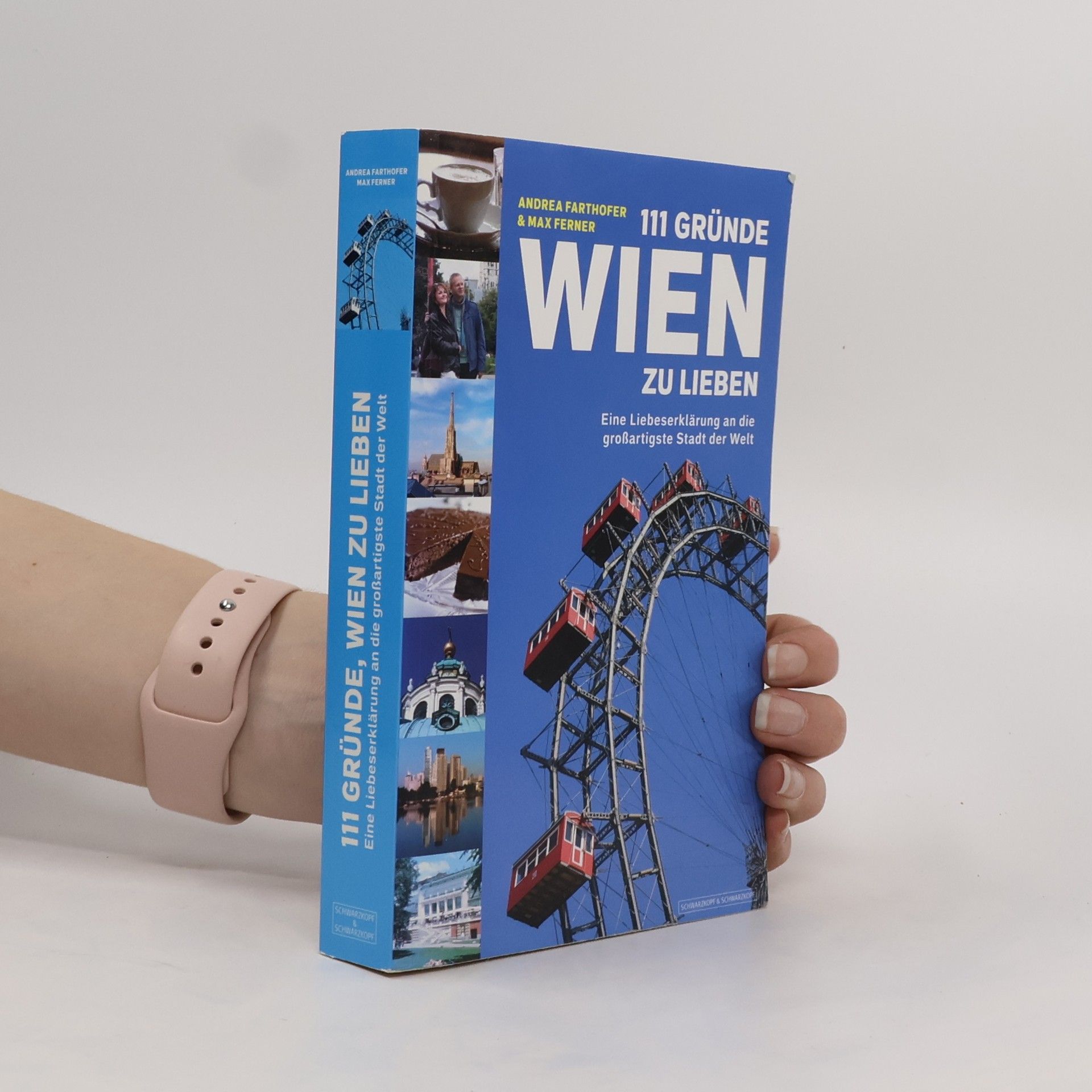 Andrea Farthofer 111 Gründe, Wien zu lieben