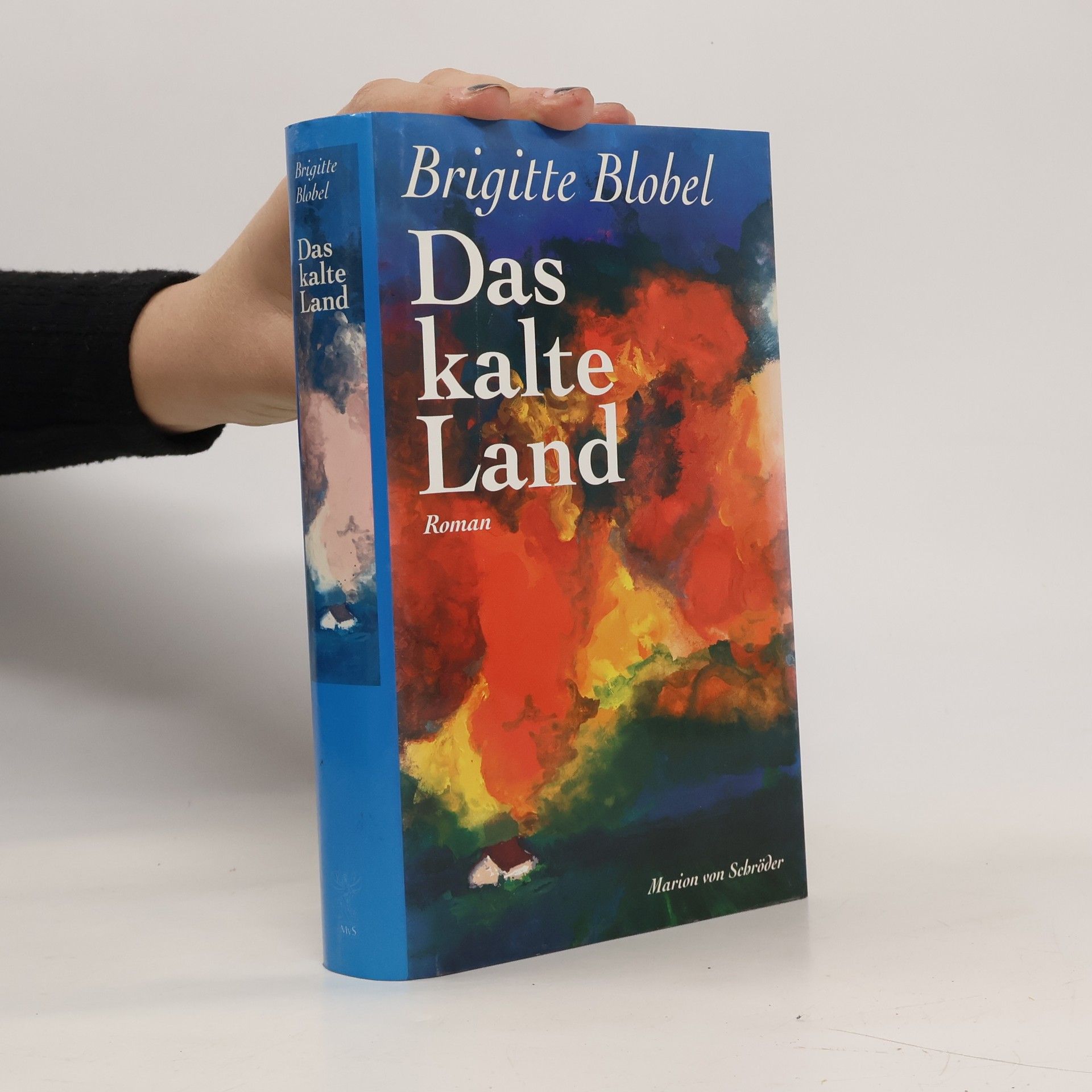 Brigitte Blobelová Das kalte Land
