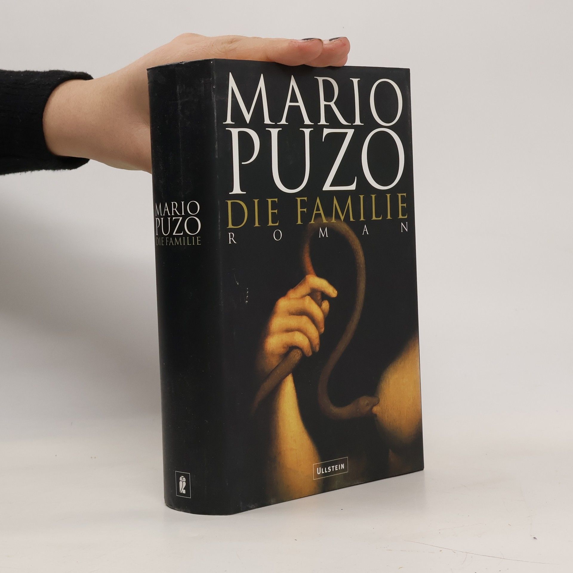 Mario Puzo Die Familie