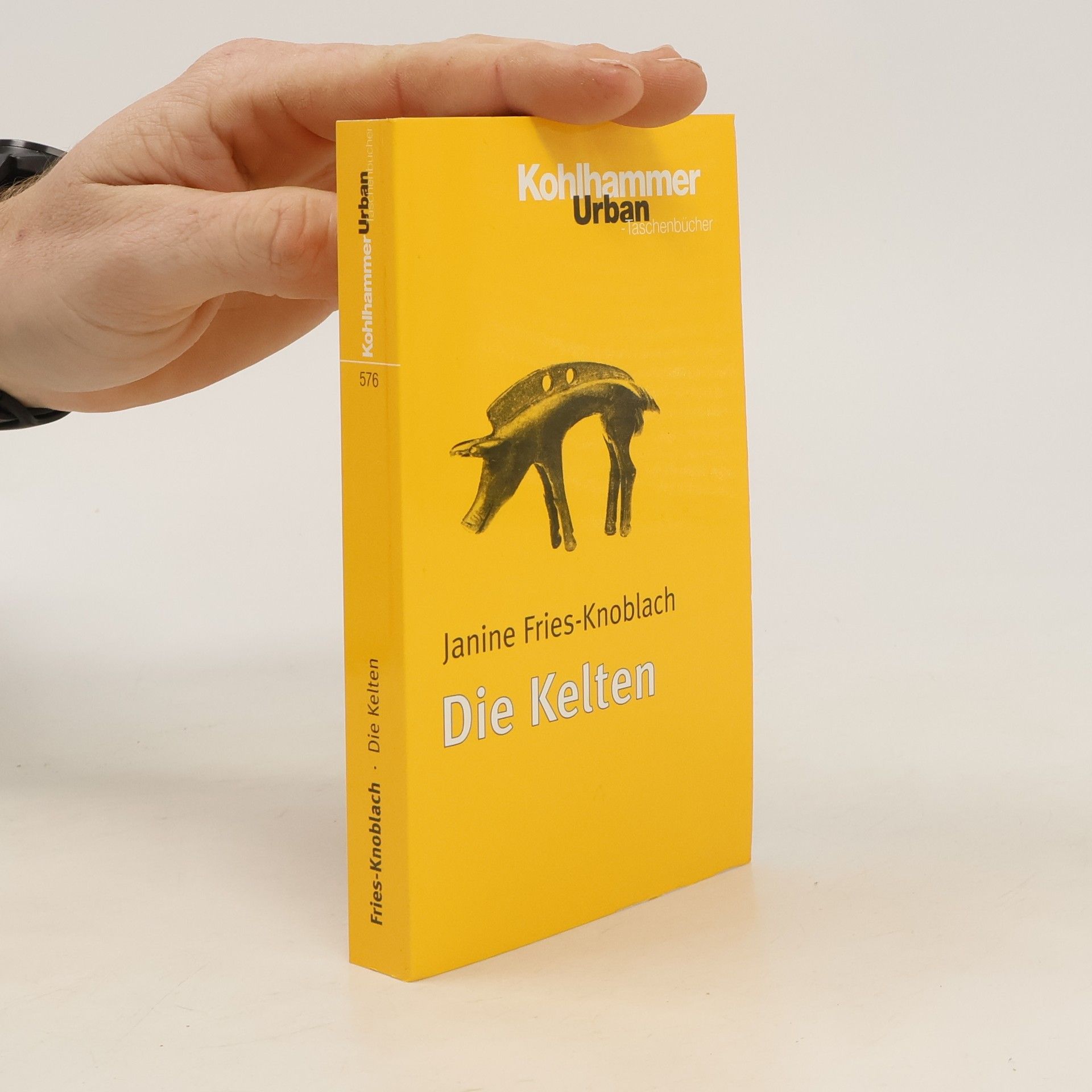 Janine Fries Knoblach Die Kelten