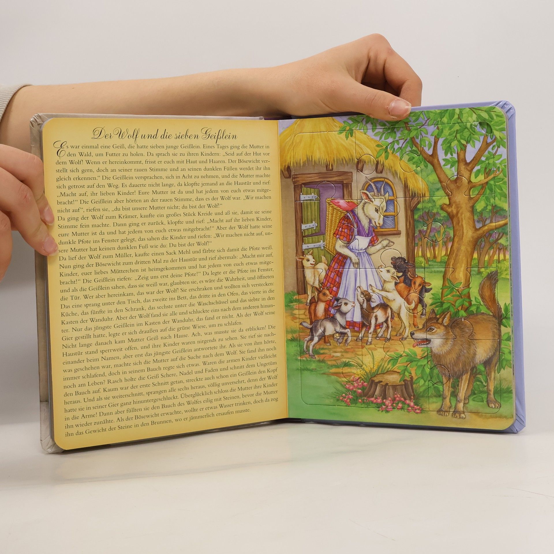 Collectif d'auteurs Märchenpuzzlebuch. 5 Märchen & Puzzles
