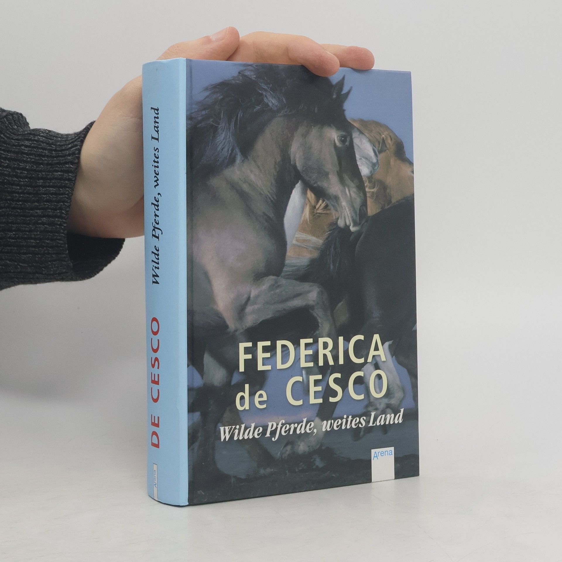 Federica de Cesco Wilde Pferde, weites Land